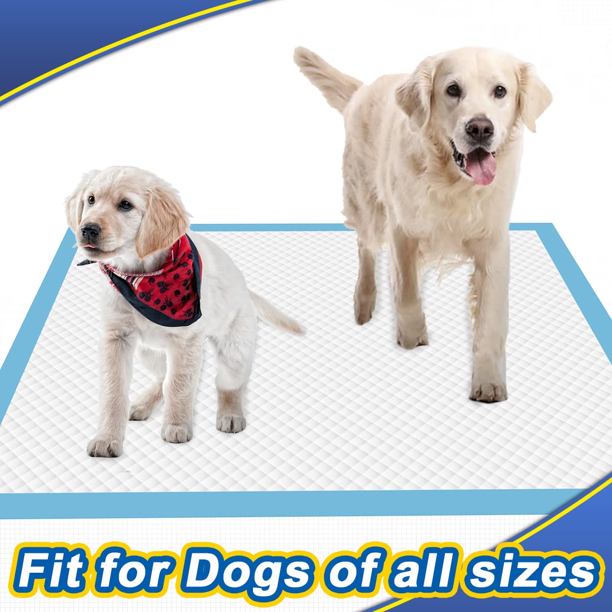 Dogcator XL Puppy Pads - 40 Count Extra Large Disposable Pee Pads, 28"x34", Non-woven Fabric, Blue, Model DC2834