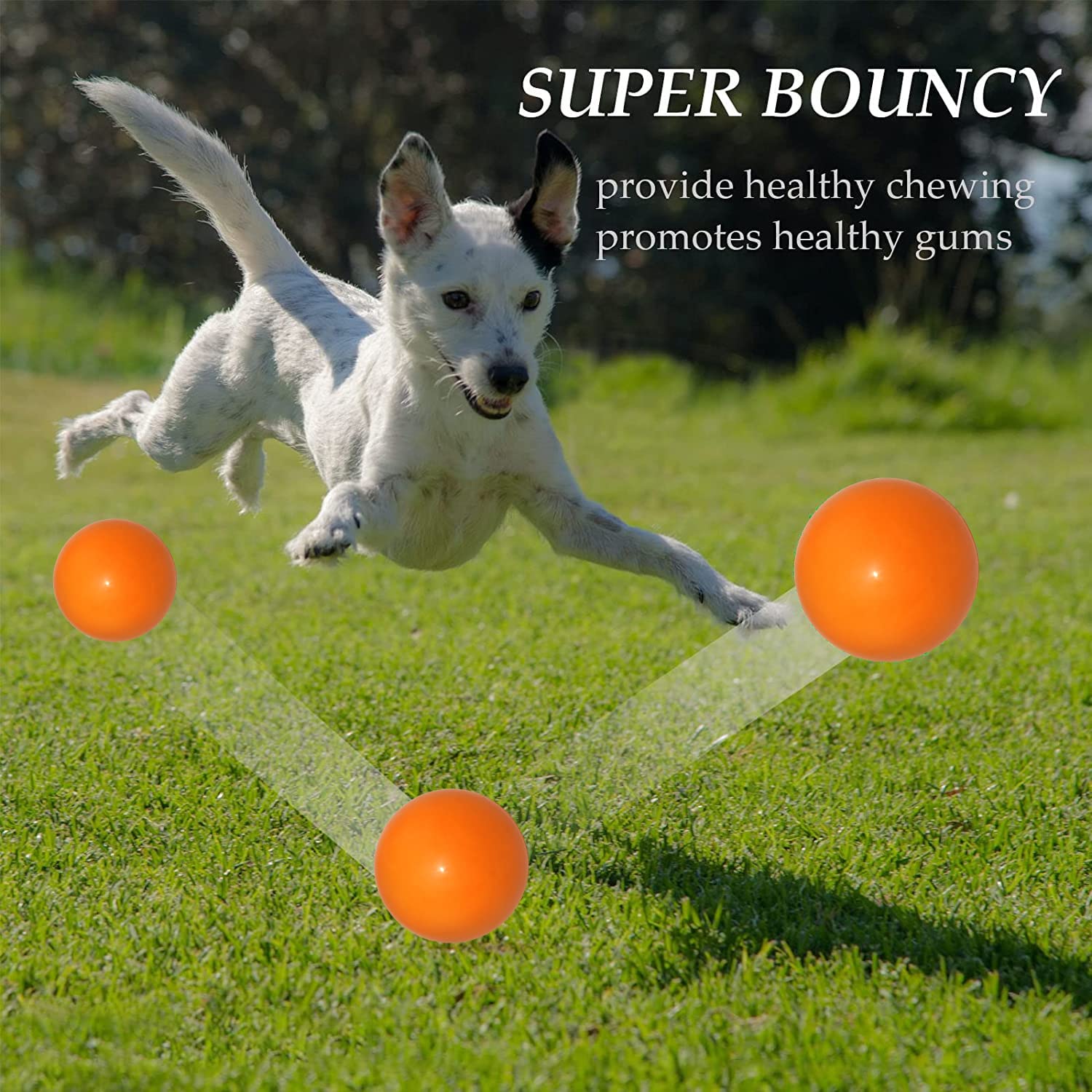 Qesonoo Indestructible Dog Ball - Solid Rubber, 2.7in, Orange, Durable Fetch Toy for Aggressive Chewers, Non-Toxic, High Elasticity