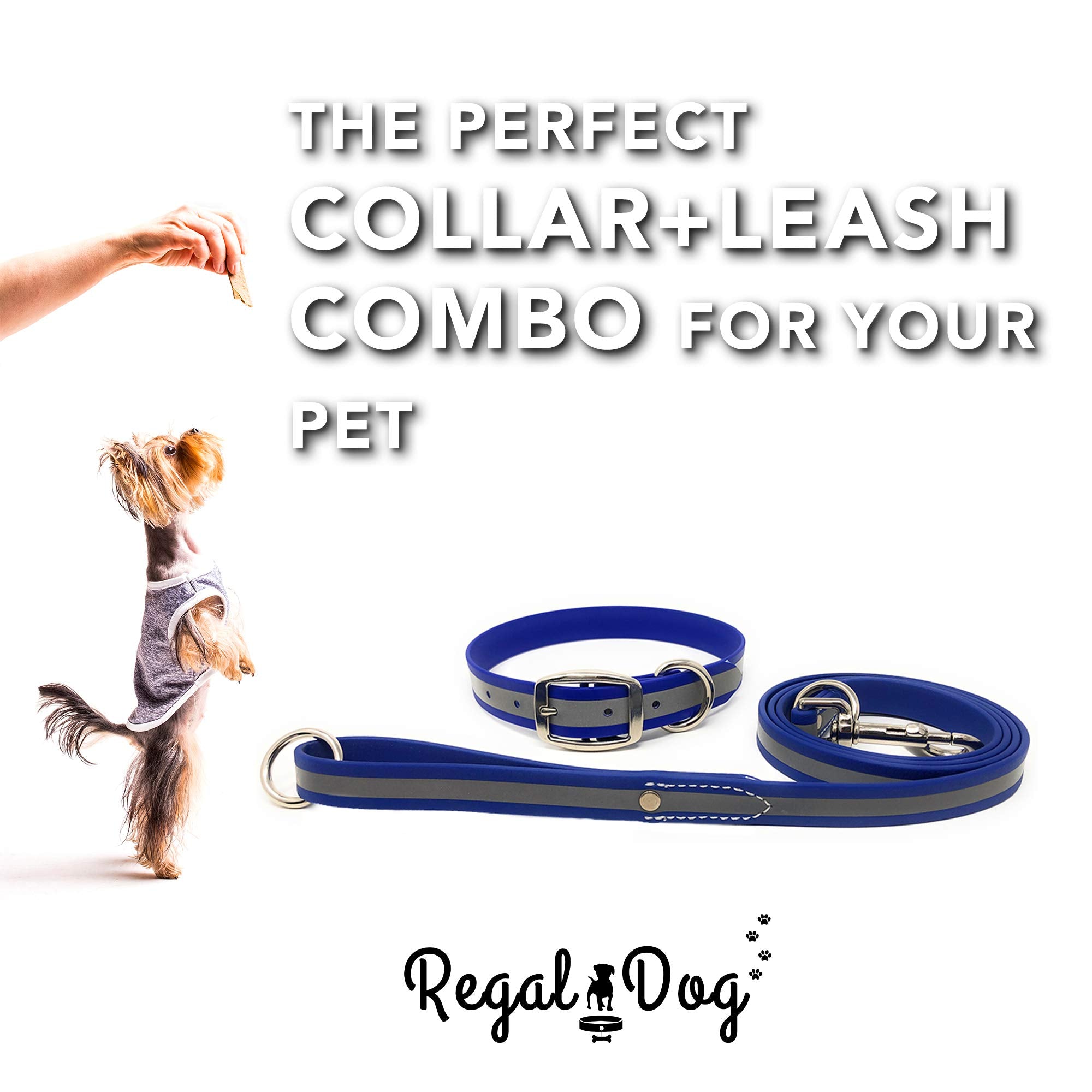 Regal Dog Products Large Blue Reflective Dog Collar And Leash Set - Waterproof Biothane Dog Collar With Heavy Duty Double Buckle