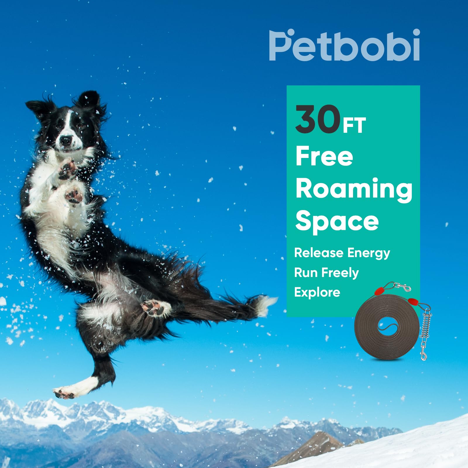 Petbobi Dog Tie-Out Cable 30Ft - Outdoor Leash 4Mm Metal Cable With Shock Absorbing Spring 360 Swivel Clips, Chain For Dogs Yard