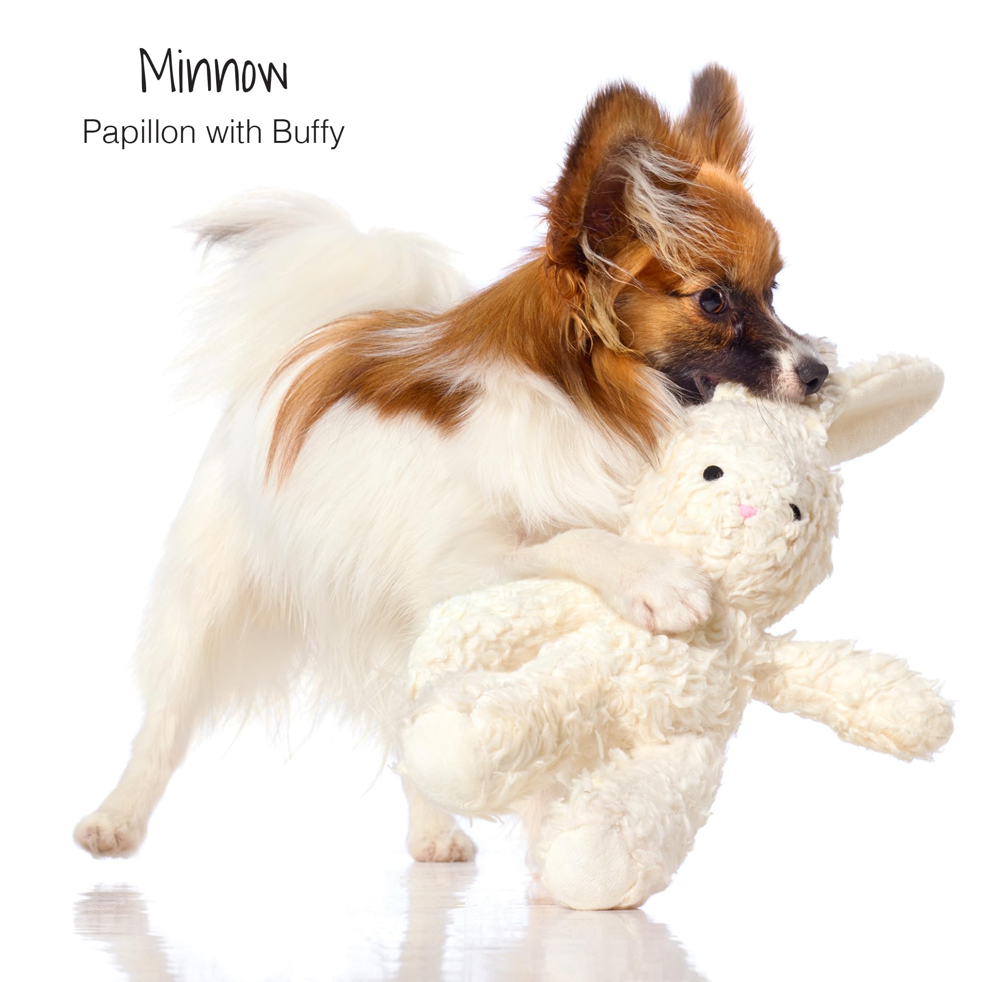 Pet Passion Plush Durable Cotton Dog Toys with Coconut Fill for All Pet Breeds, Bunny, One Size