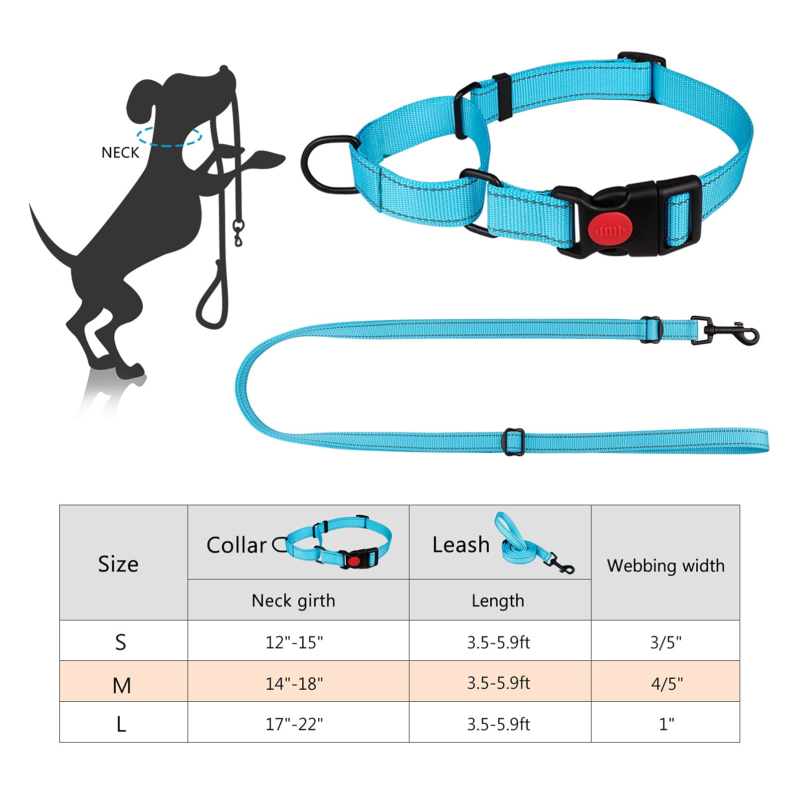 Martingale Dog Collar And Leash Set Martingale Collars For Dogs Reflective Martingale Collar For Small Medium Large Dogs(Sky Blue&L)