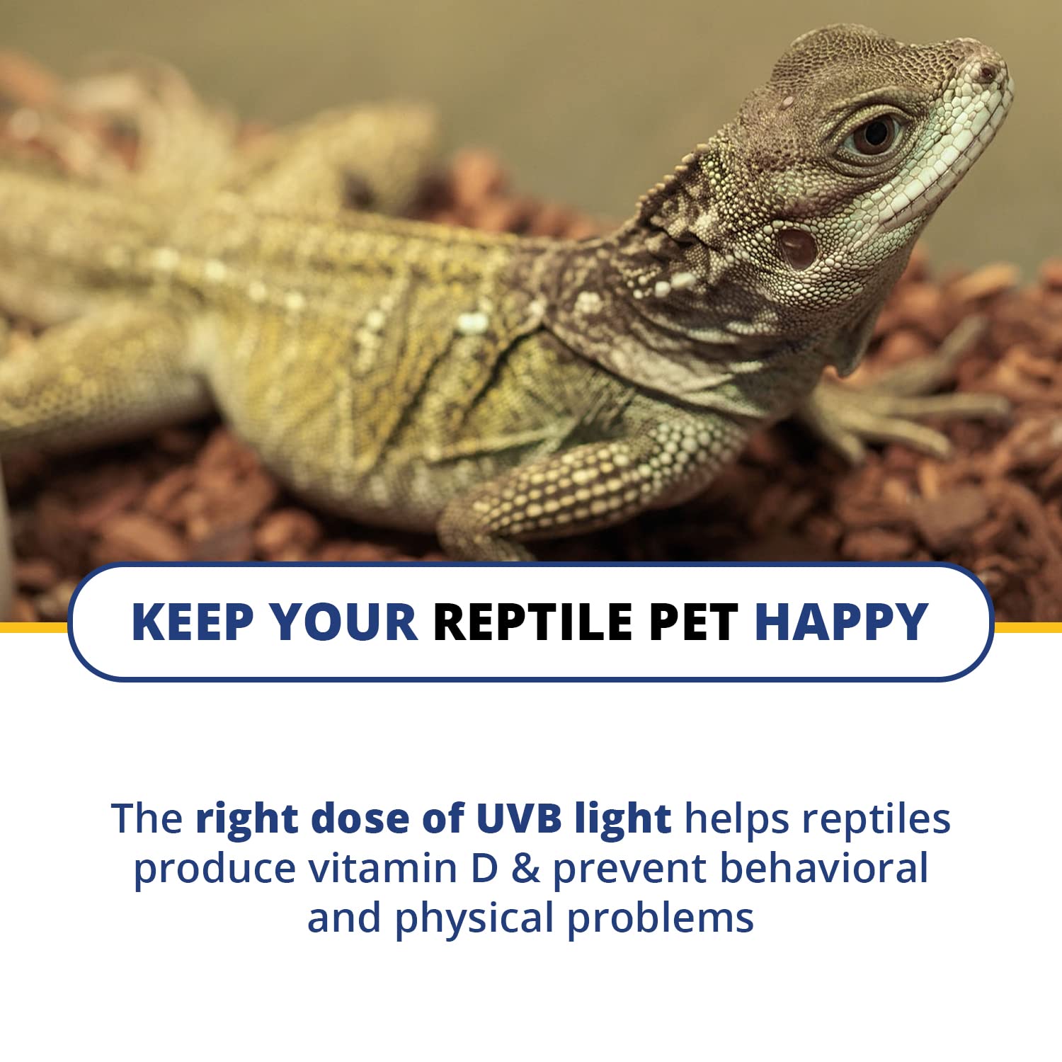 Solarmeter Model 6.2R Reptile Uvb Lamp Meter, Handheld Digital Uvb Radiometer And Light Bulb Tester For Terrarium & Outdoor Activities, 0-1999 ?w/Cm2 Uvb, Made In Usa