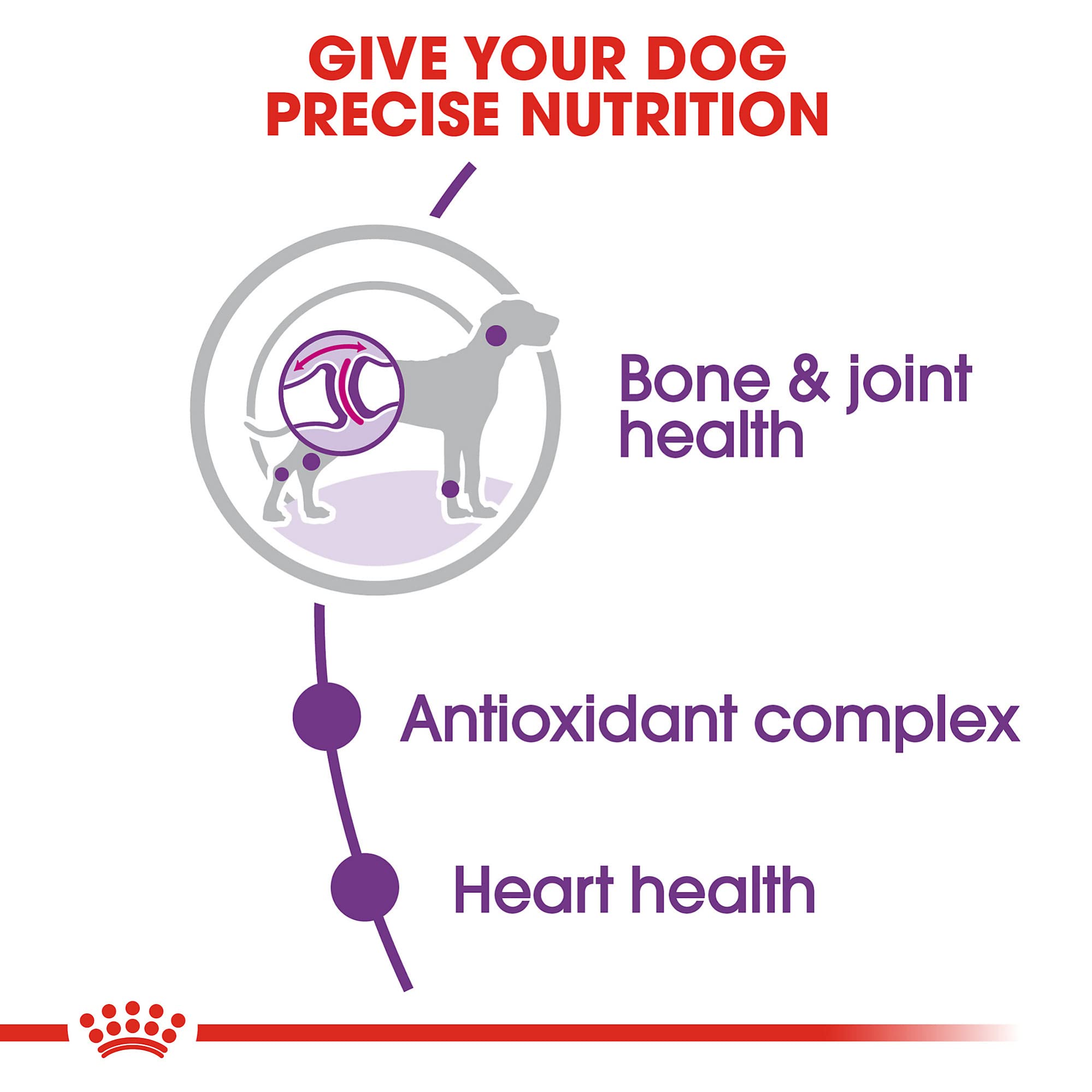 Royal Canin Size Health Nutrition Giant Adult Dog Food Dry, Extra-Large Dog Food Supports Bone and Joint Health, Digestive Healt