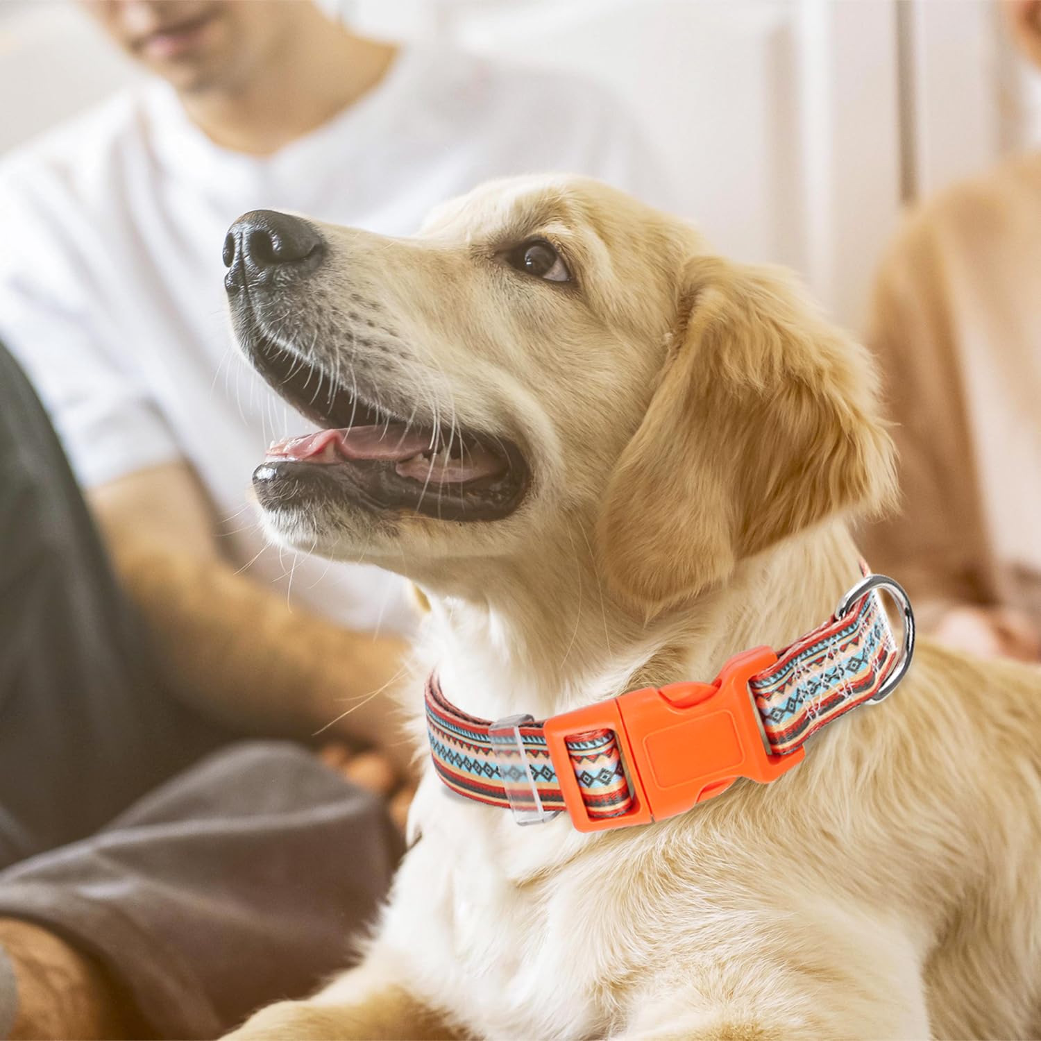Dog Collar For Puppy Small Dogs, Orange Dog Collar With Tribal Ethnic Aztec Patterns, Adjustable Safety Nylon Dog Collars Buckle