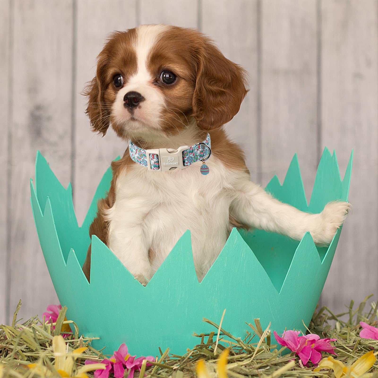 Babole Pet Easter Day Dog Collar, Colorful Easter Eggs Dog Collar with Quick Release Plastic Buckle, Easter Day Gift Rabbit Dog