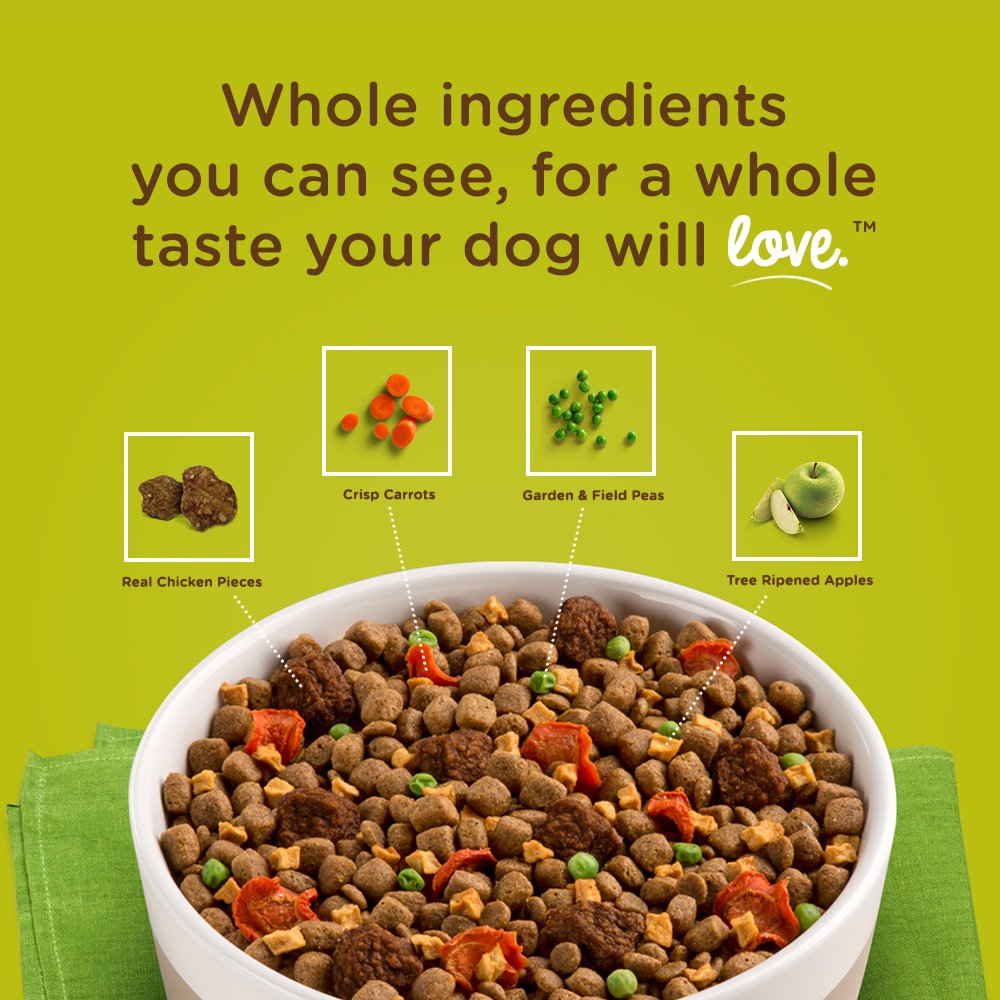 Nutrish Rachael Ray Dish Premium Natural Dry Dog Food with Added Vitamins, Minerals & Taurine, Chicken & Brown Rice Recipe with
