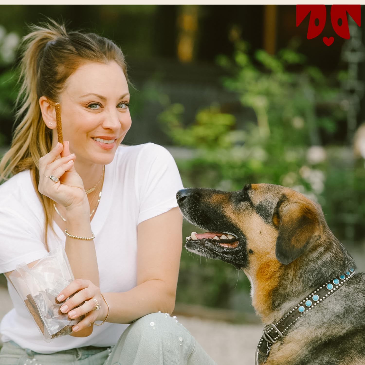 OH NORMAN! Soft Beef Jerky Dog Treats, Healthy, Air Dried, 6 Oz, All Life Stages, Ethically Sourced Free Range Beef