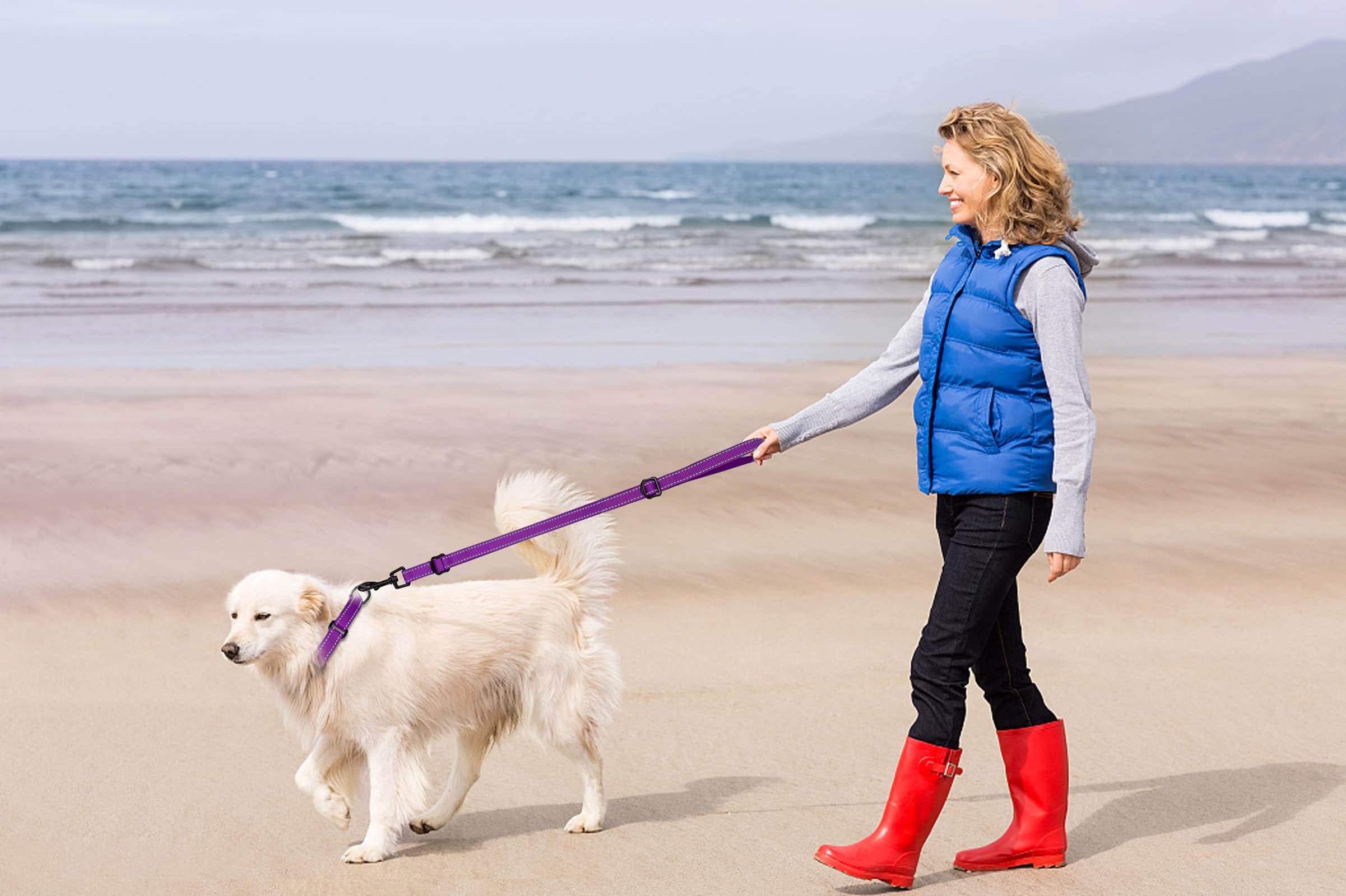 Martingale Dog Collar And Leash Set Martingale Collars For Dogs Reflective Martingale Collar For Small Medium Large Dogs(Purple&