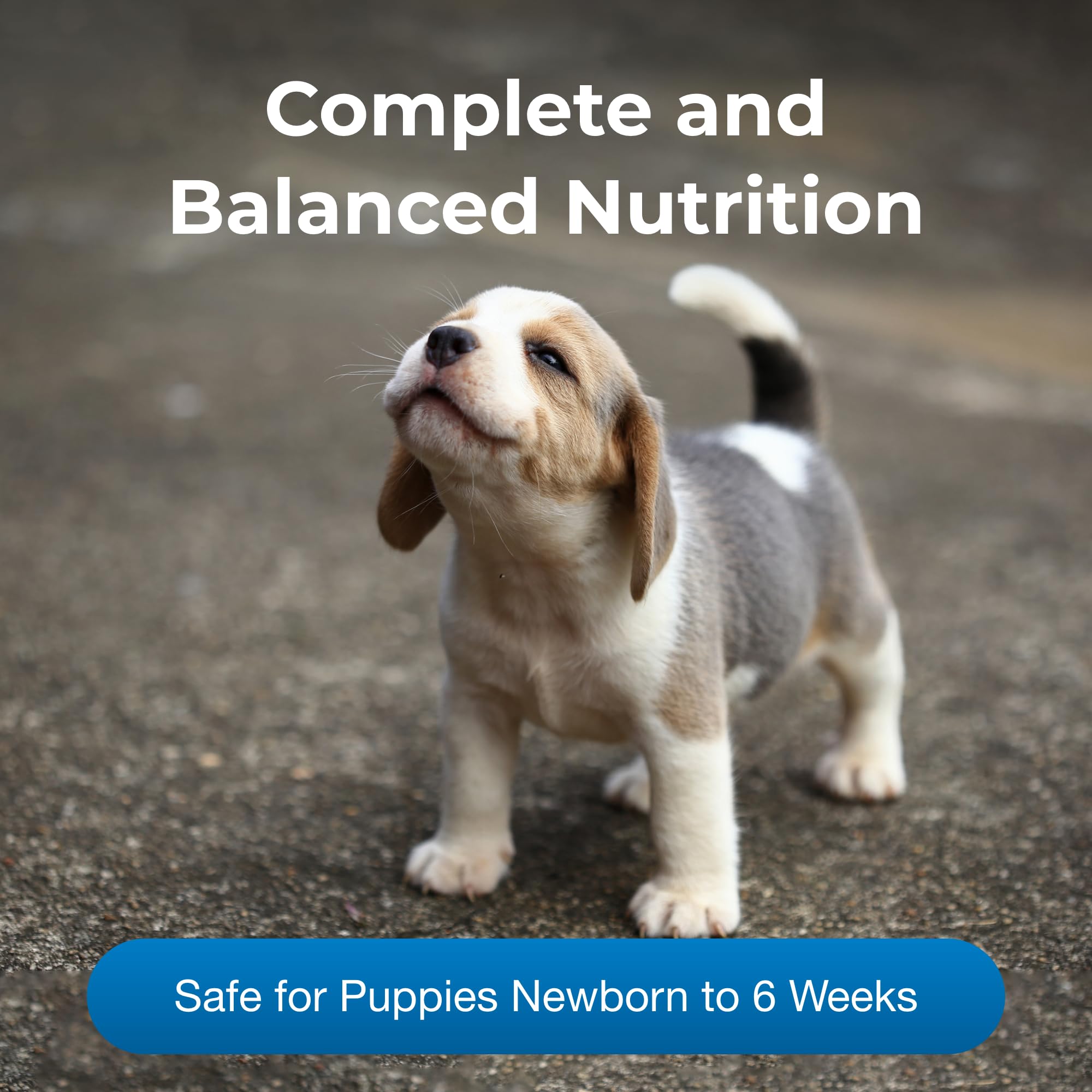 Pet-Ag PetLac Powder for Puppies - 10.5 oz - Puppy Milk Replacement Powder for Puppies Newborn to Six Weeks Old - Easy to Digest