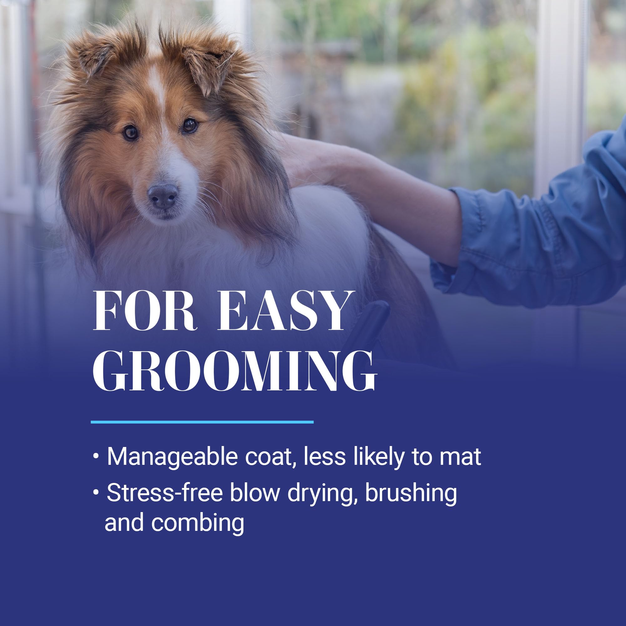 Chris Christensen Ice On Ice Detangling Dog Conditioner, Groom Like A Professional, Dematts, Moisturizes, Creates Long Lasting S