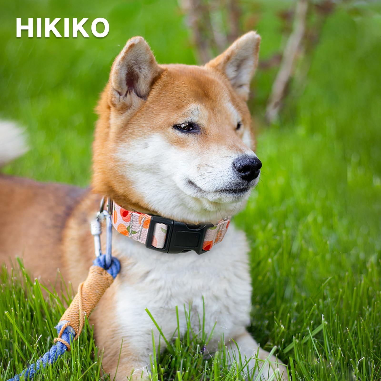 Hikiko Martingale Collar For Dogs Peach Dog Collar For Small Medium Large Dogs Cute Holiday Summer Dog Collars Pet Gift (Peach,L