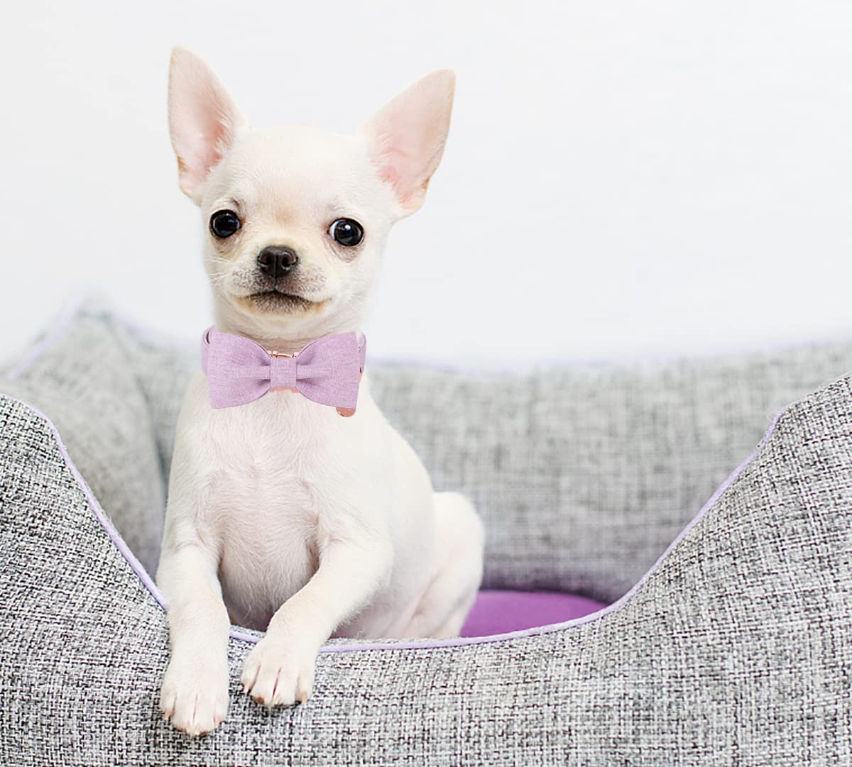Dogwong Cotton Dog Collar With Bow, Purple Pet Collar Durable Adjustable Puppy Dog Collar For Small Medium Large Dogs