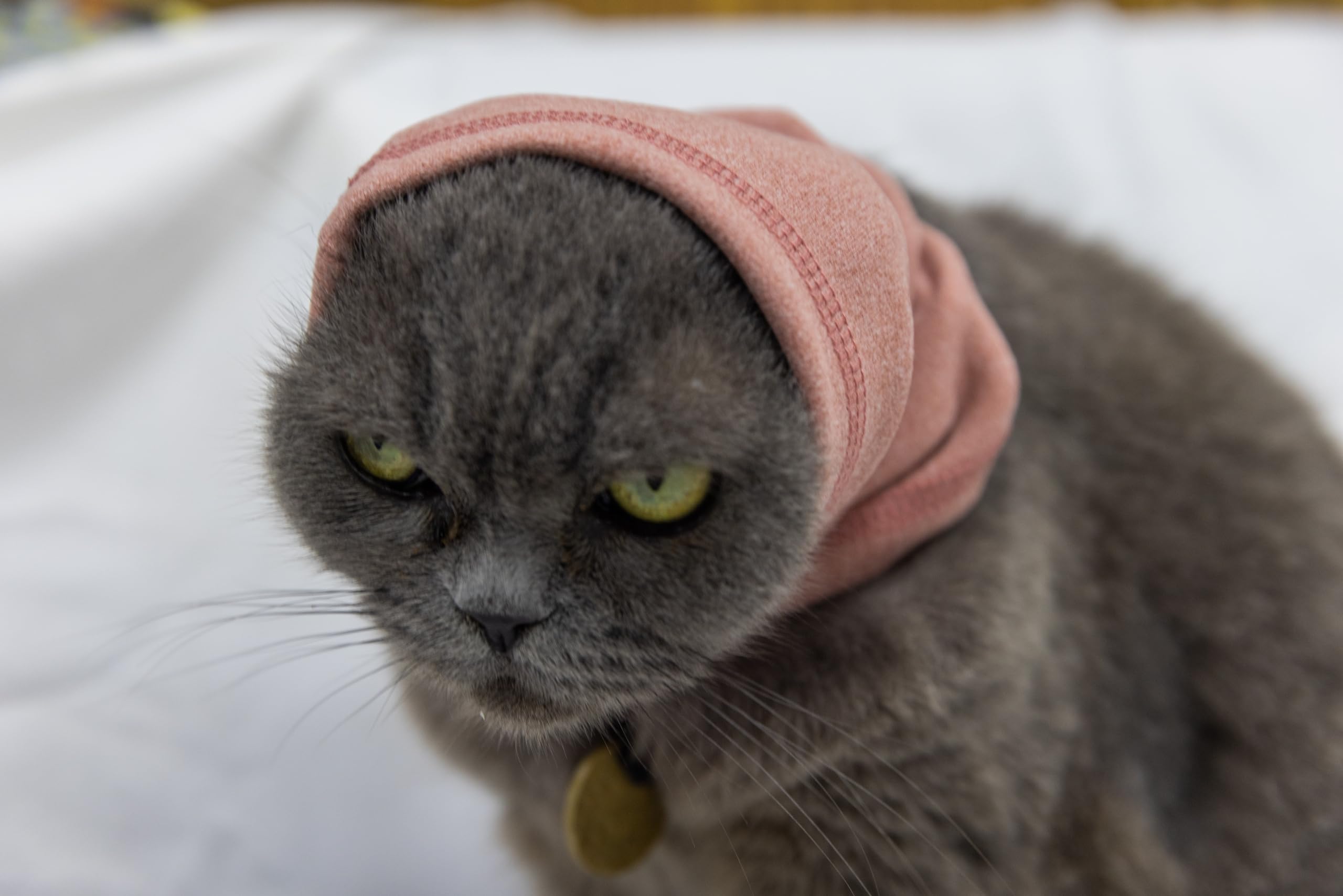 DDFS Cat Anxiety Quiet Ears Snood Head Wrap - Calming Noise Cancelling Cover for Cats - Pink S