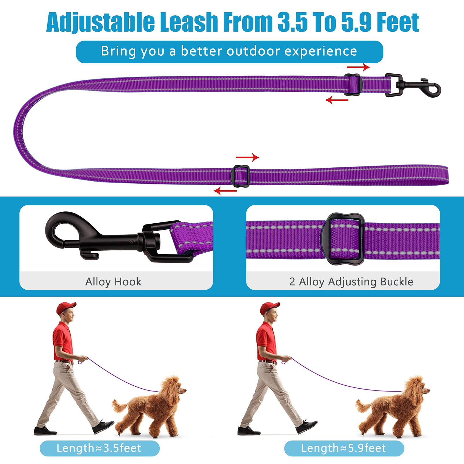 Martingale Dog Collar And Leash Set Martingale Collars For Dogs Reflective Martingale Collar For Small Medium Large Dogs(Purple&