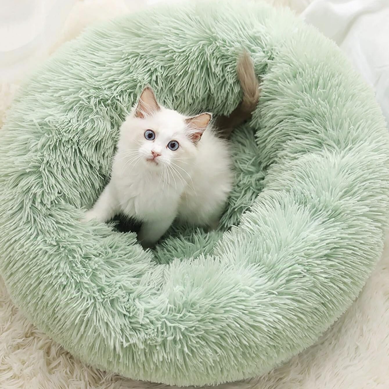 Cat Beds For Indoor Cats - Washable 20/24 Inches, Anti-Anxiety Round Plush Faux Fur, Thick Bottom (Light Green, Medium) - Suitab