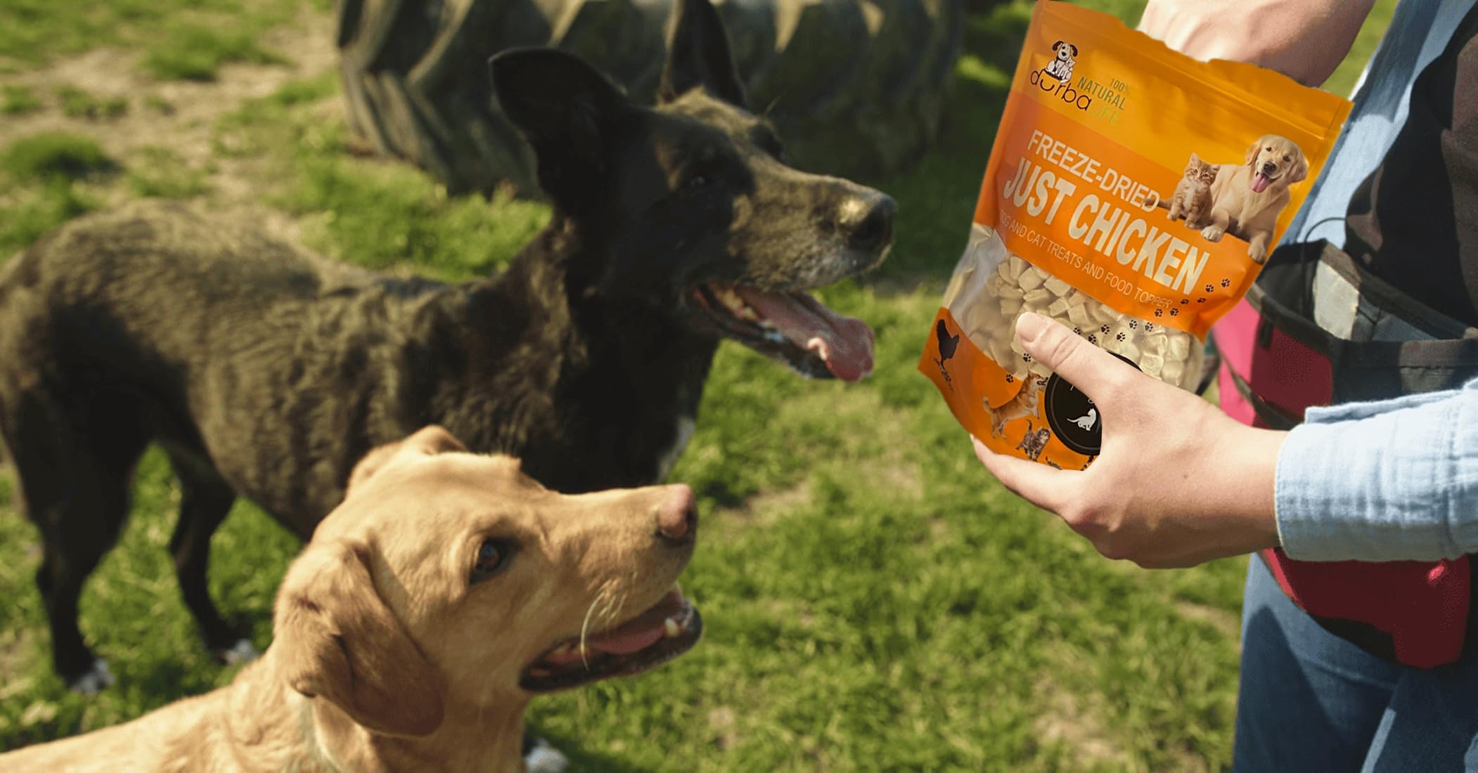 DurbaLife Freeze Dried Dog and Cat Treats Food Topper (5.1 oz (~145g), Just Chicken (Large Pack))