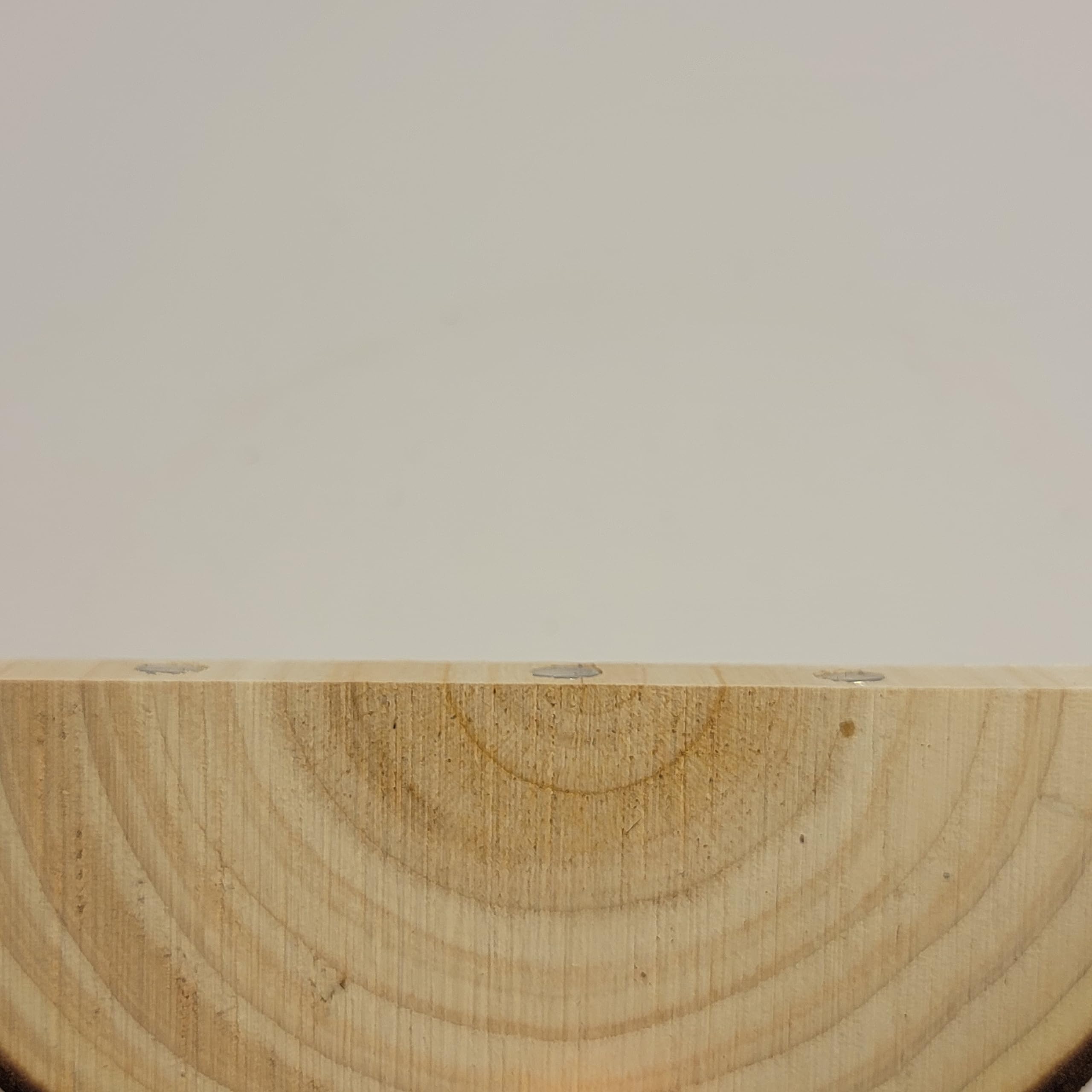 1 Pc. Magnetic Arboreal Ledge | Jumping Spider Ledge | The Critters Cave (Sleeker But Weaker: Smaller Embedded Magnets)