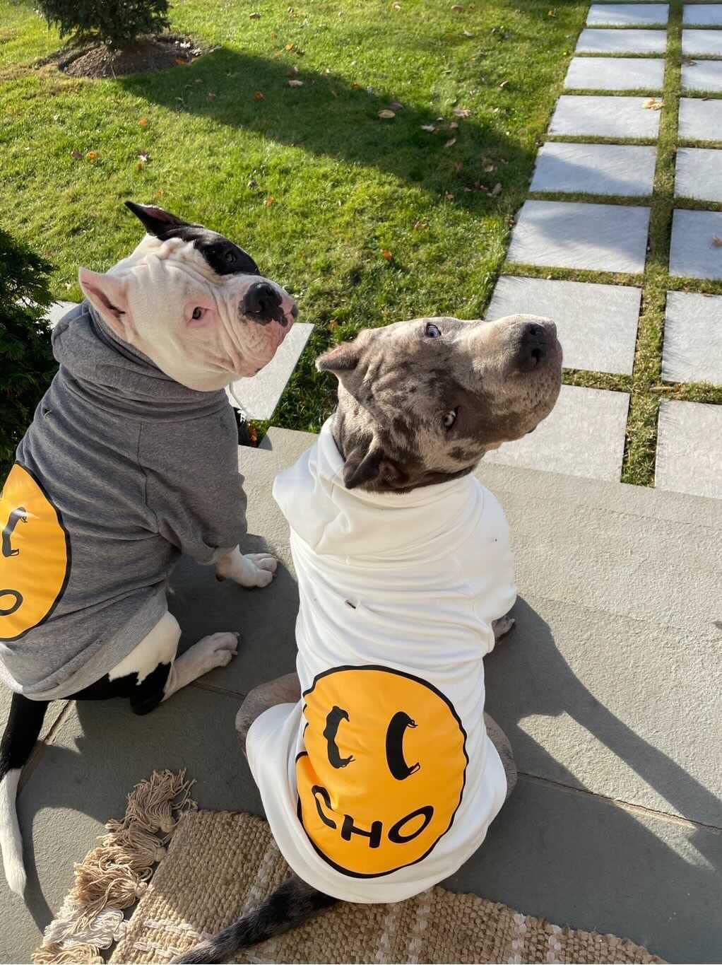 Chochocho Smiley Dog Hoodie Stylish Dog Clothes Smiley Face Sweater Cotton Sweatshirt Fashion Outfit For Dogs Cats Puppy Small Medium Large (L, White)
