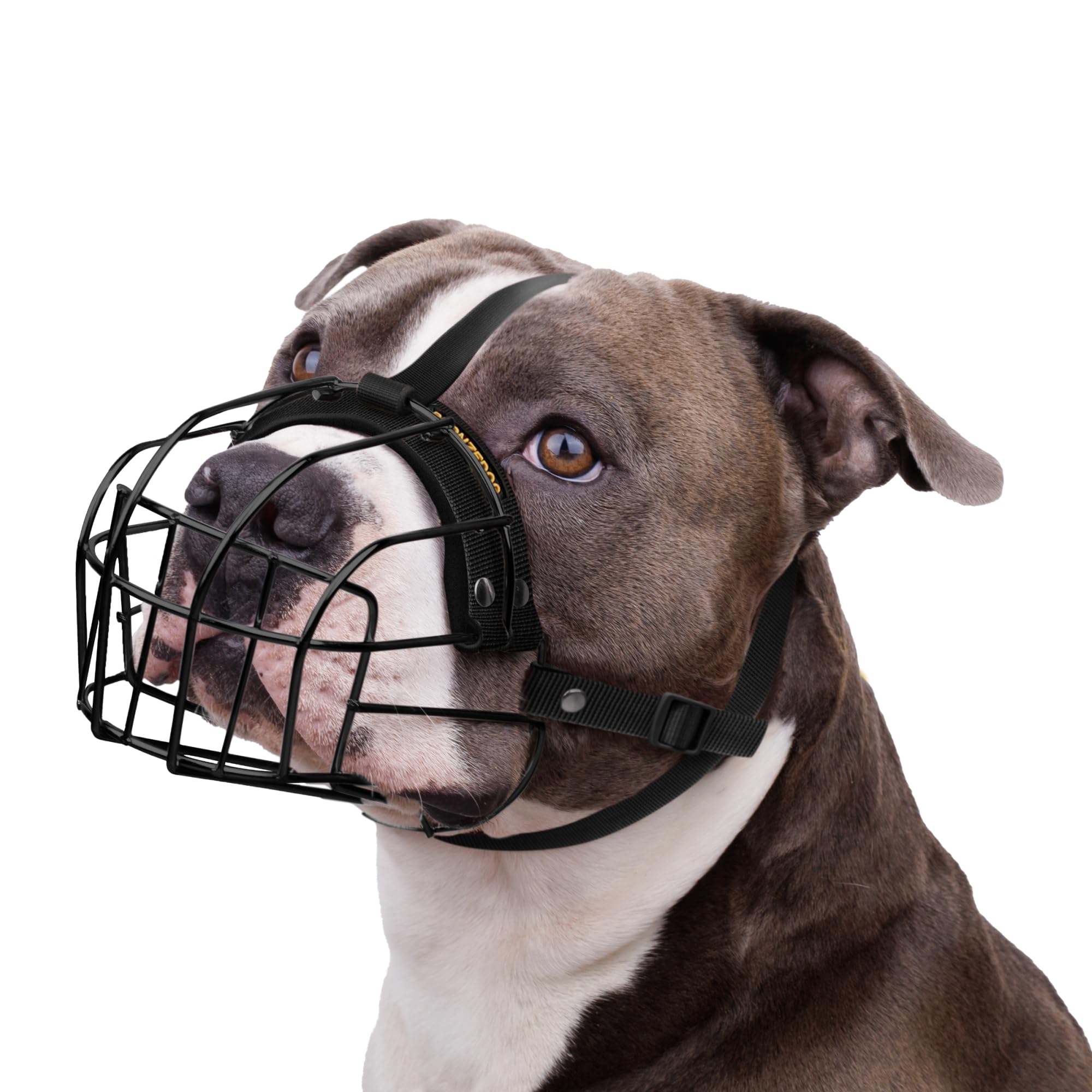 Bronzedog Pitbull Dog Muzzle Breathable Metal Basket For Large Dogs Amstaff Staffordshire Terrier Biting Chewing Barking (Nylon,