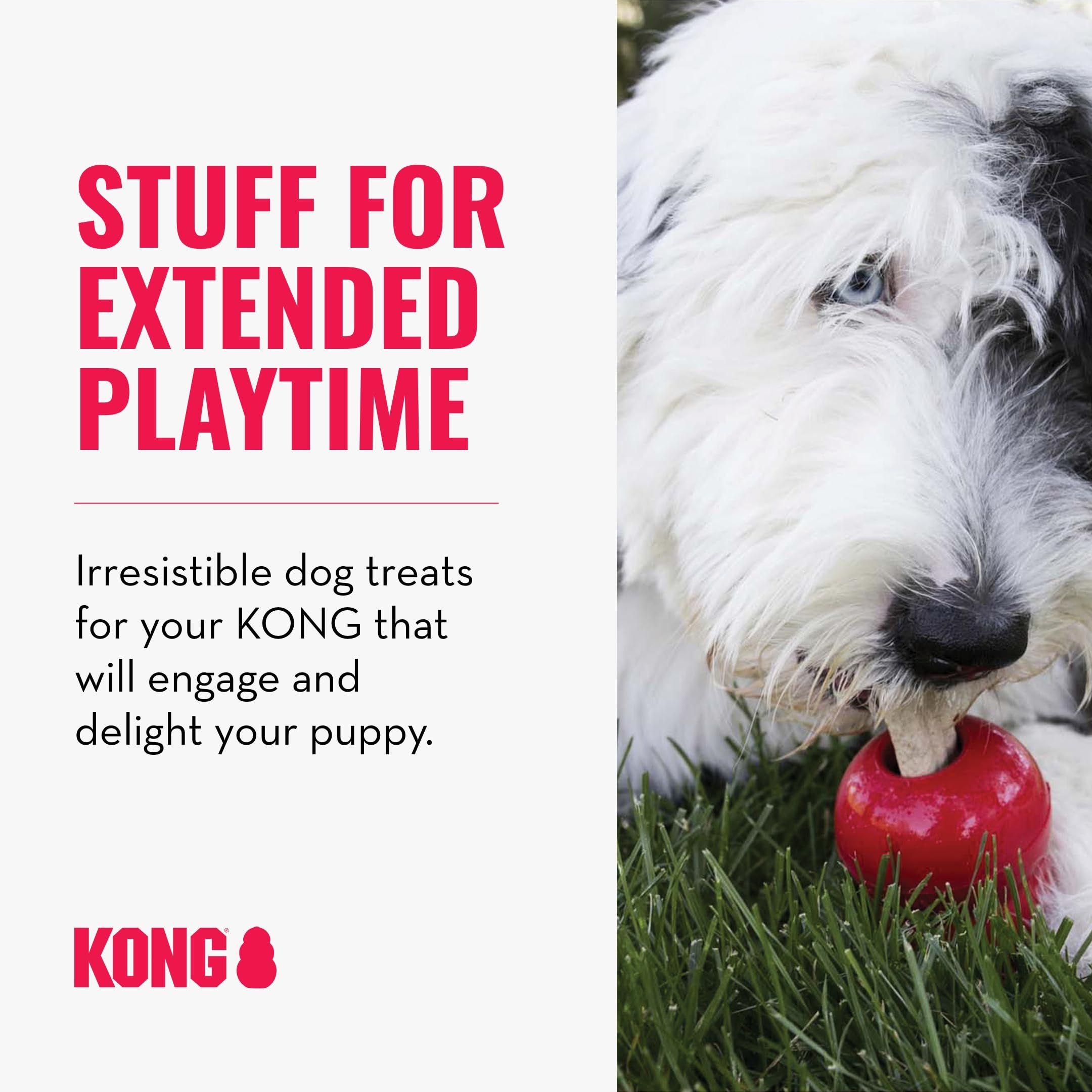 KONG Classic Toy & Ziggies Treats Combo Pack - Durable Chew Toy for Dogs - with Ziggies Chicken-Flavored Treats - Dog Accessorie