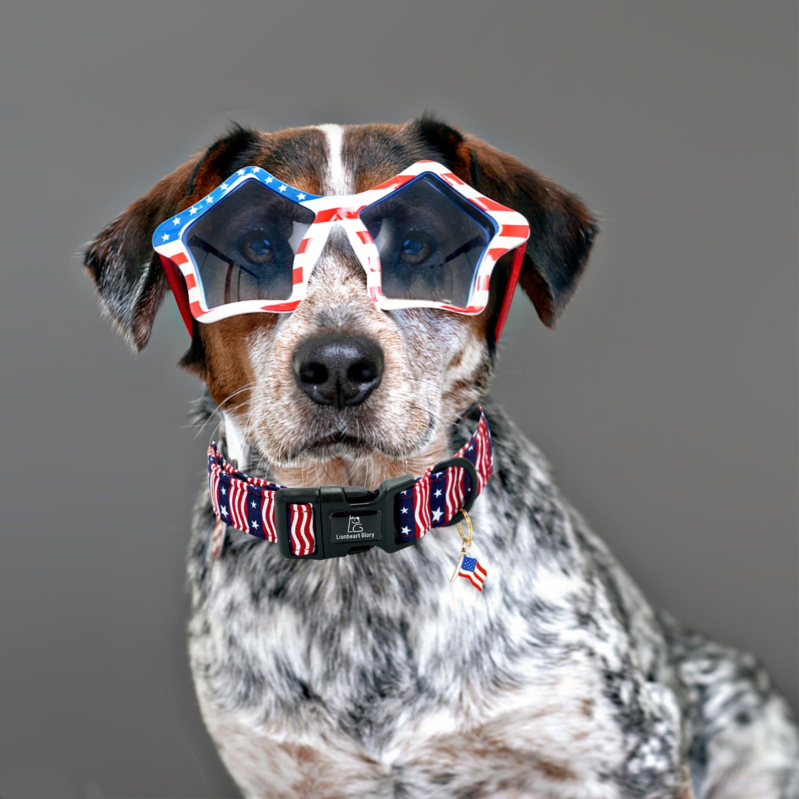 Lionheart Glory American Flag Dog Collar-4 Of July Patriotic Independence Day Dog Collar Heavy Duty Adjustable Dog Collars For M