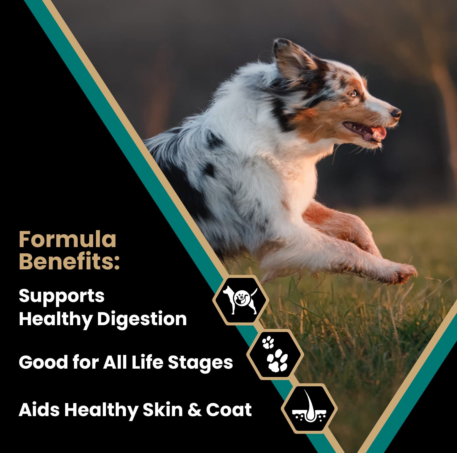 VICTOR Super Premium Dog Food - Select Ocean Fish Formula with Salmon - Omega-3 and Omega-6 Enriched Gluten-Free Dry Kibble for