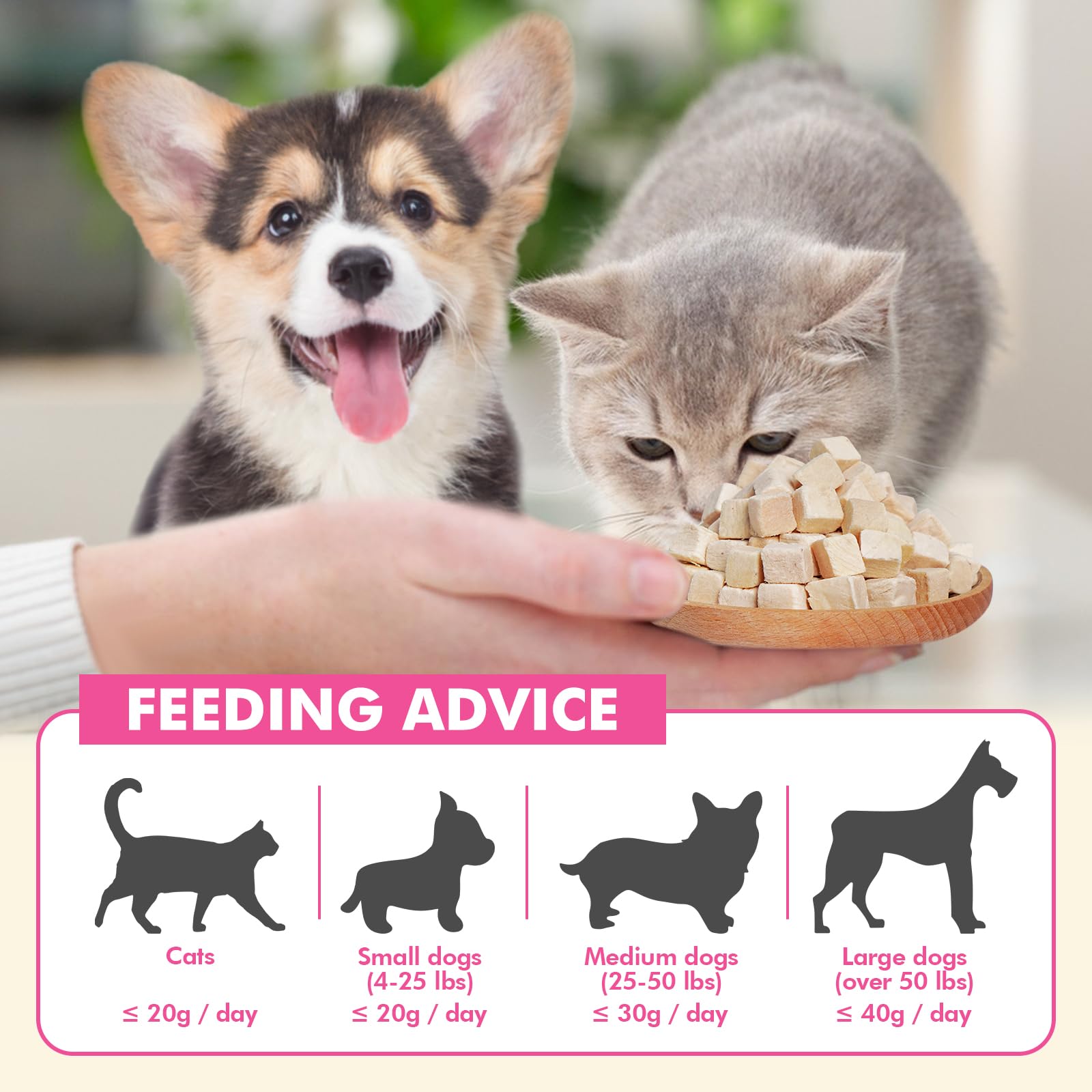 Puddonio Freeze Dried Cats & Dogs Raw Treats, All Natural Single Ingredient Chicken Breast, High Protein Healthy Pet Training Tr