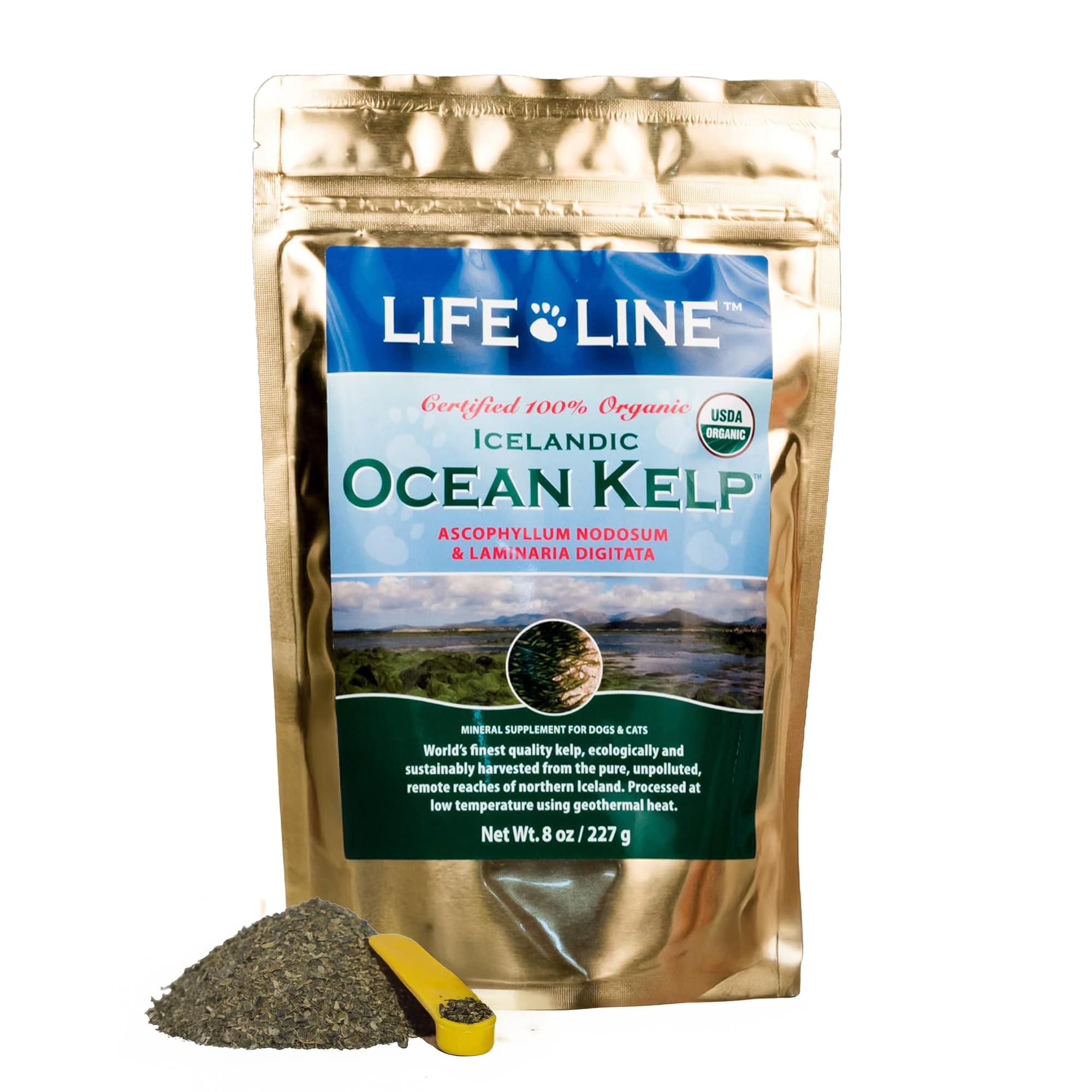 Organic Ocean KELP 8 OZ