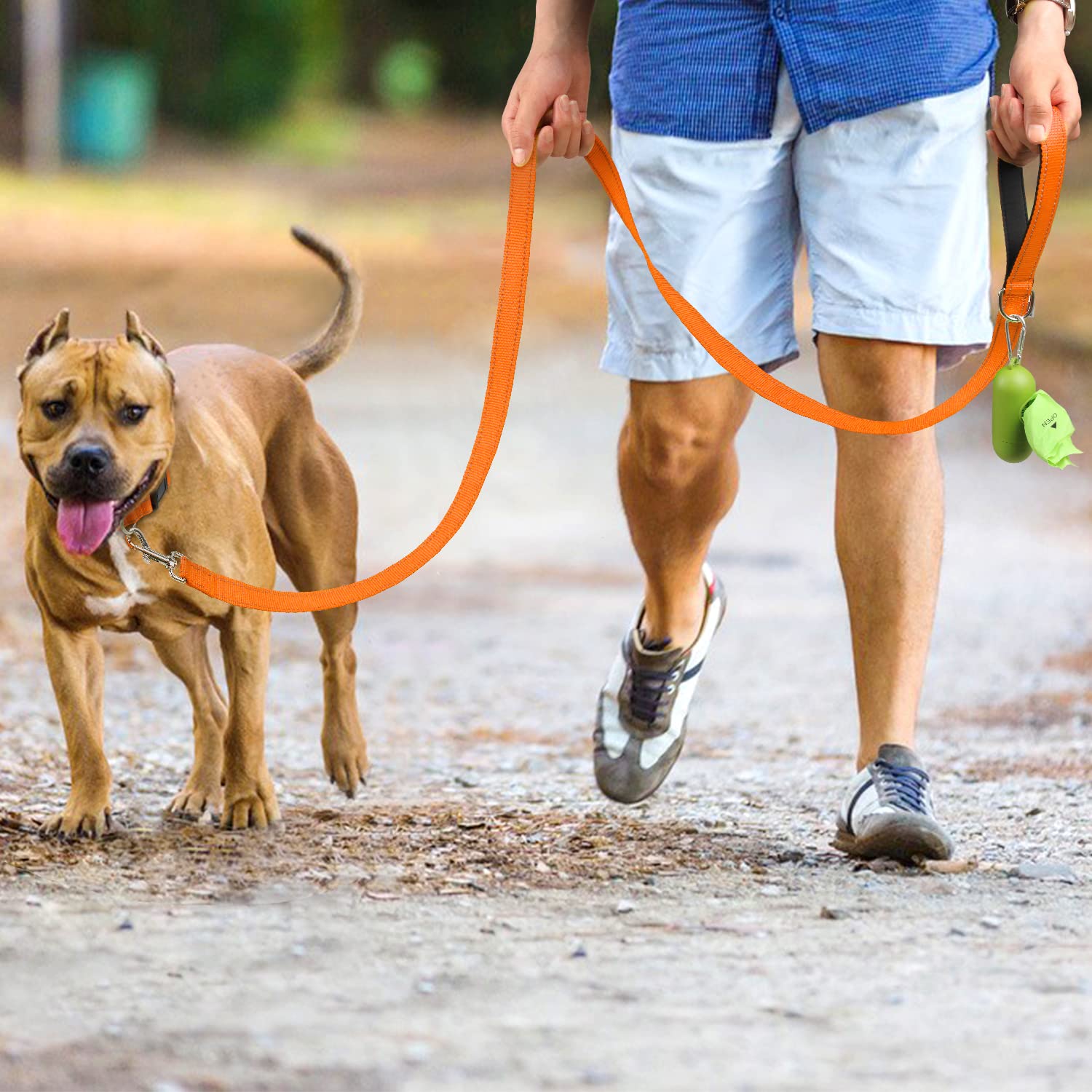 Joytale Double-Sided Reflective Dog Leash, 6 Ft/5 Ft/4 Ft, Padded Handle Nylon Dogs Leashes For Medium & Large Dogs Walking, Orange, 5Ft