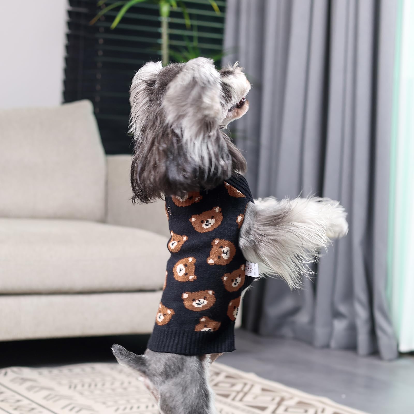 Cutebone Cute Dog Sweater - Bear Pattern Pullover For Small Medium Dogs, Winter Clothes For Chihuahua Yorkie Teacup Ds97Xl