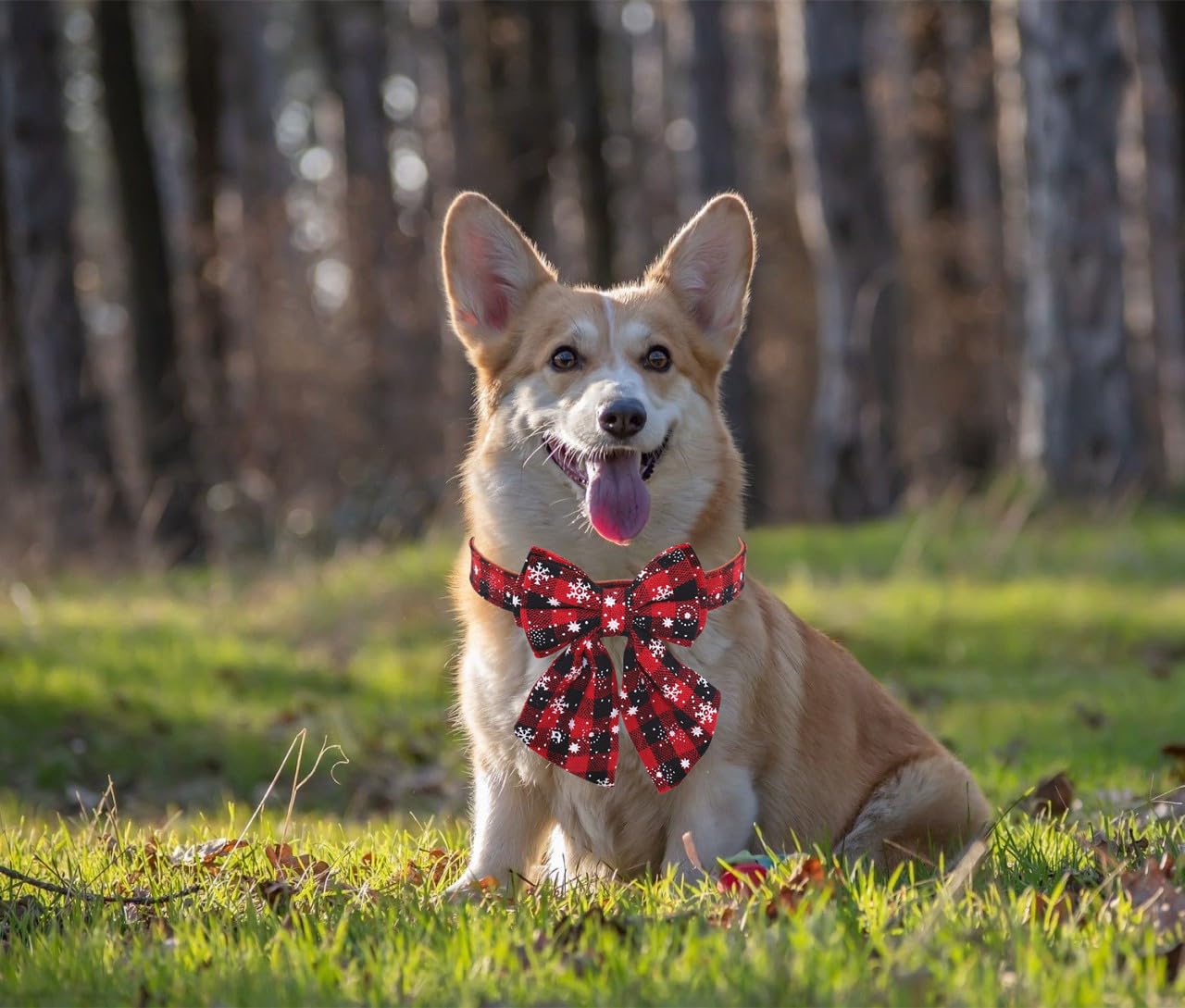 Thain Christmas Dog Collar With Style Bow, Quick Release Plastic Buckle Adjustable Cotton Red Bowtie Dog Christmas Collars For M