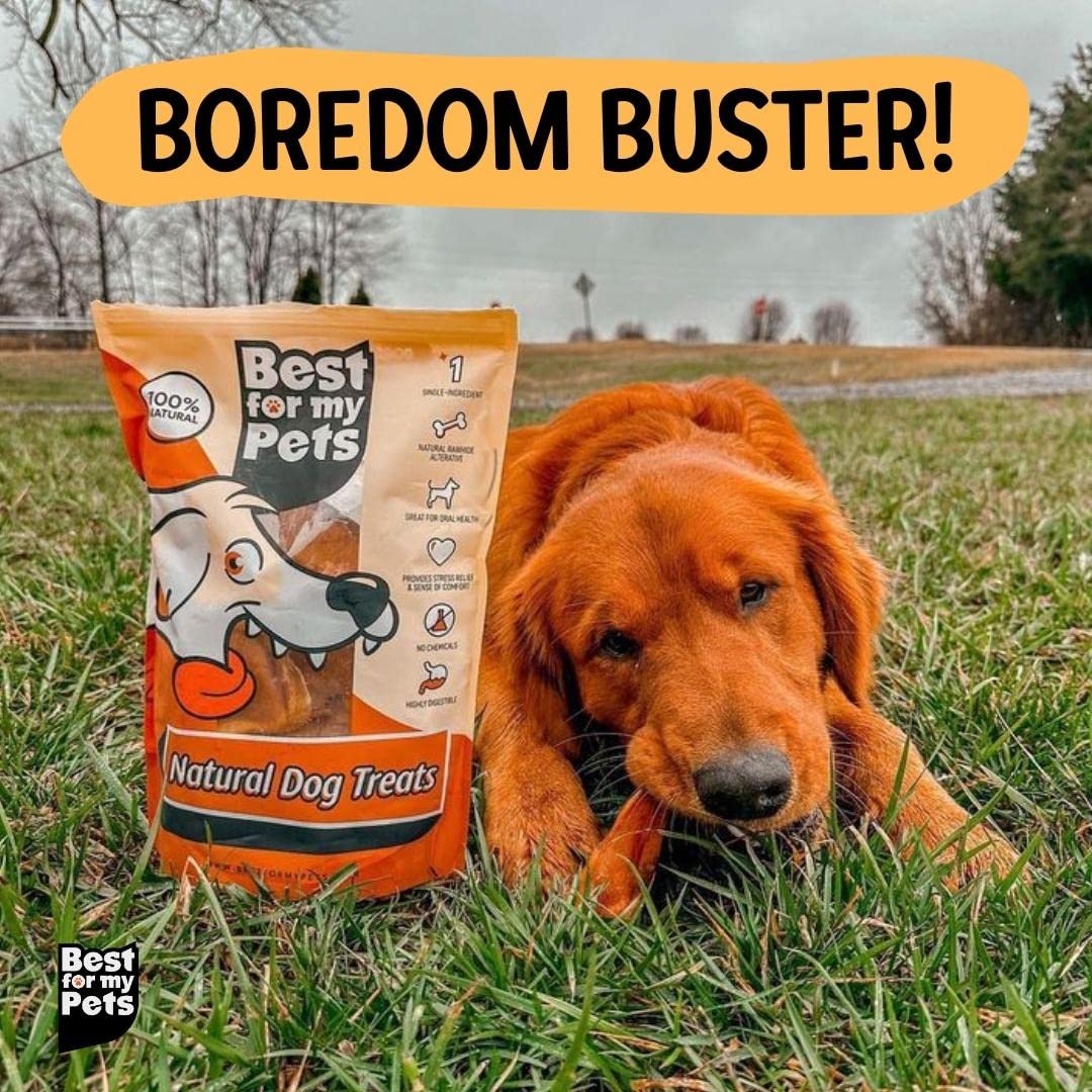 Best For My Pets Pig Ears for Dogs (Whole, 6 Pack), Healthy, Highly Digestible All Natural Pigs Ears Long-Lasting Dog Chews, Por