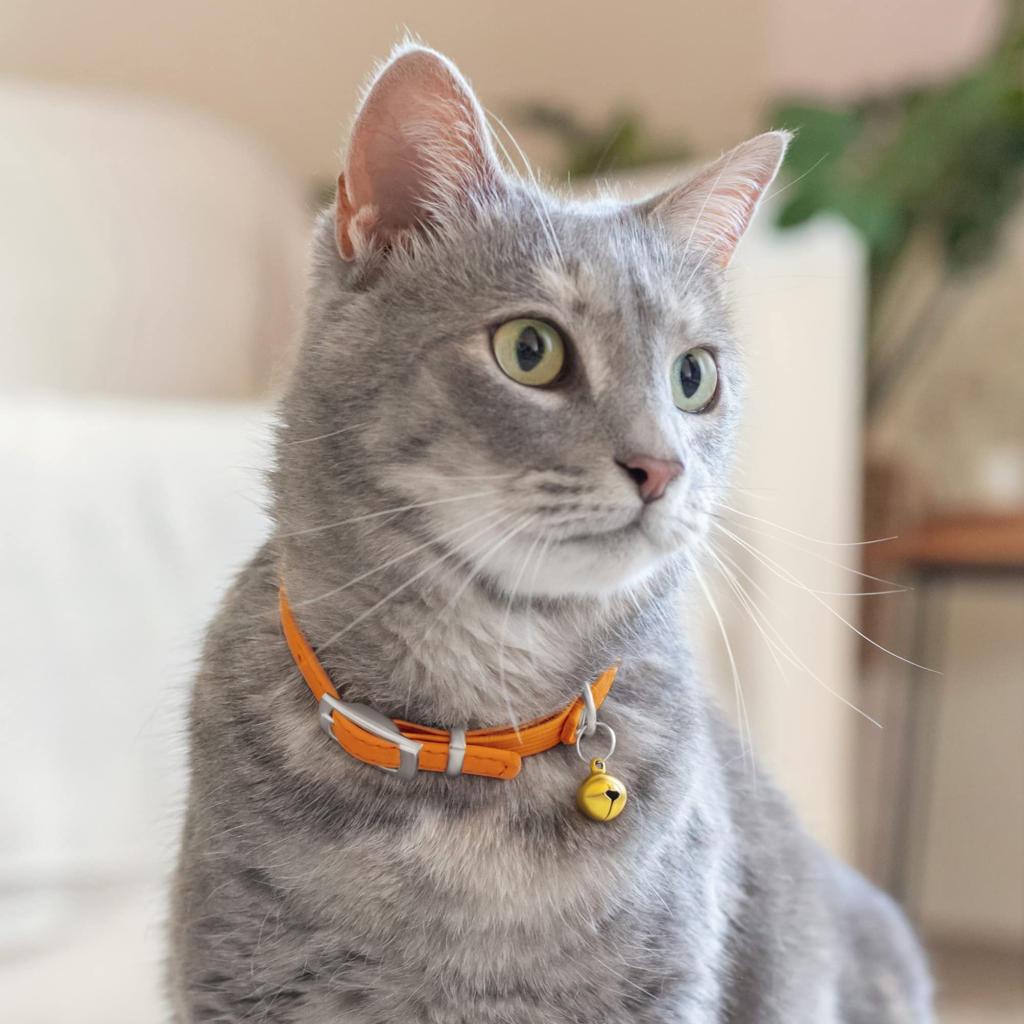 Collardirect Leather Cat Collar With Bell - Kitten Collar, Small And Big Cat Collar For Boy Cats, Girl Cats With Safety Elastic Strap (Neck Fit 6'-7', Orange)