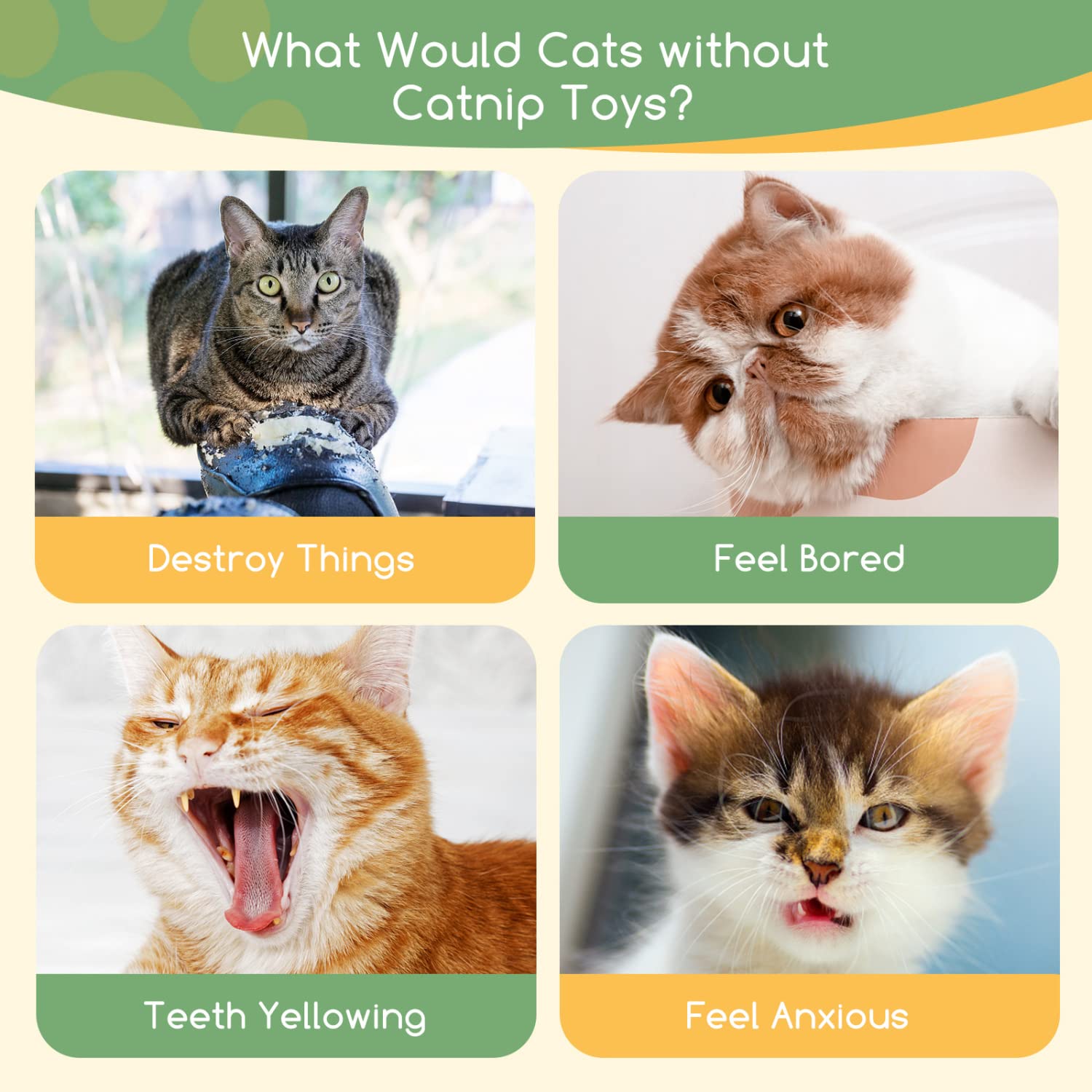 Nobleza Catnip Toys, 5Pcs Cat Chew Toys For Indoor Cats Clearance, Cute Animal Shapes Plush Kitty Teething Play With Crinkle Pap