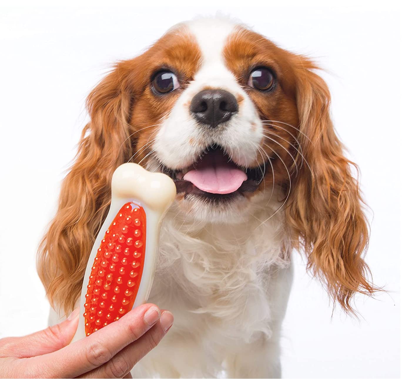 Hartz Chew 'N Clean Tuff Bone Bacon Scented Dental Dog Chew Toy - Large