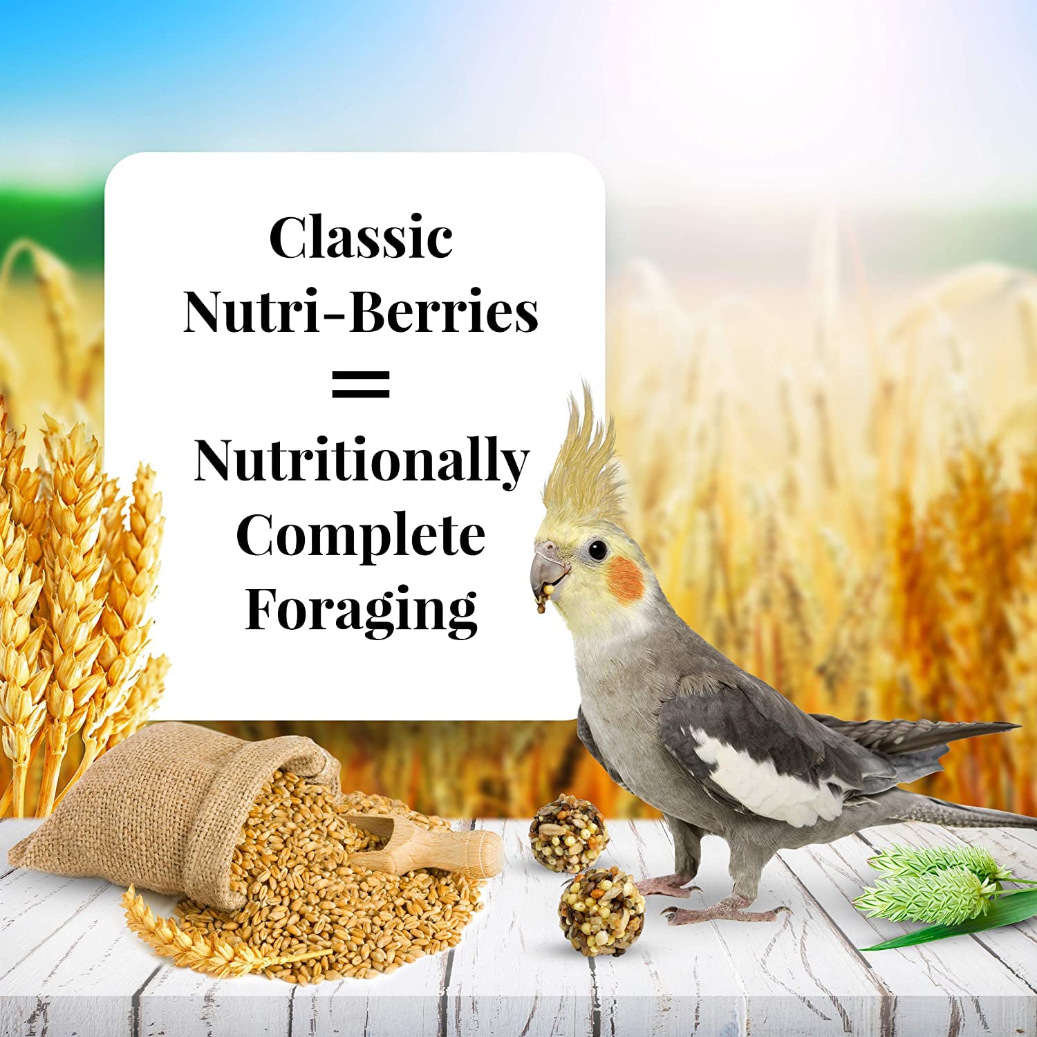 LAF 10.0 OZ TIEL NUTRI-BERRIE