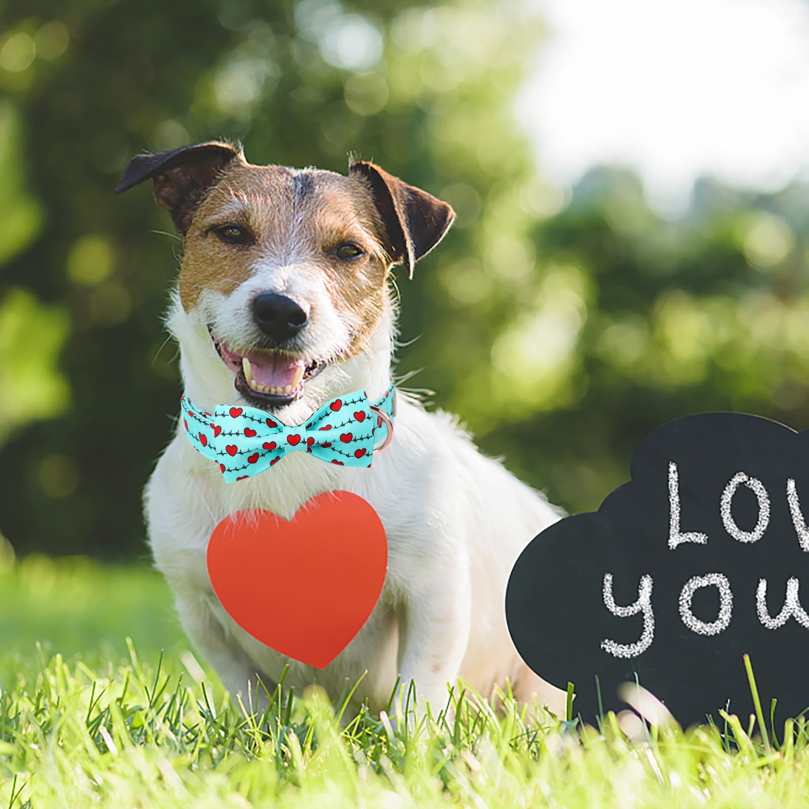 Babole Pet Valentines Dog Collar with Bow Tie,Green Love Heart Signal Valentine Dog Collars with Safety Metal Buckle Adjustable