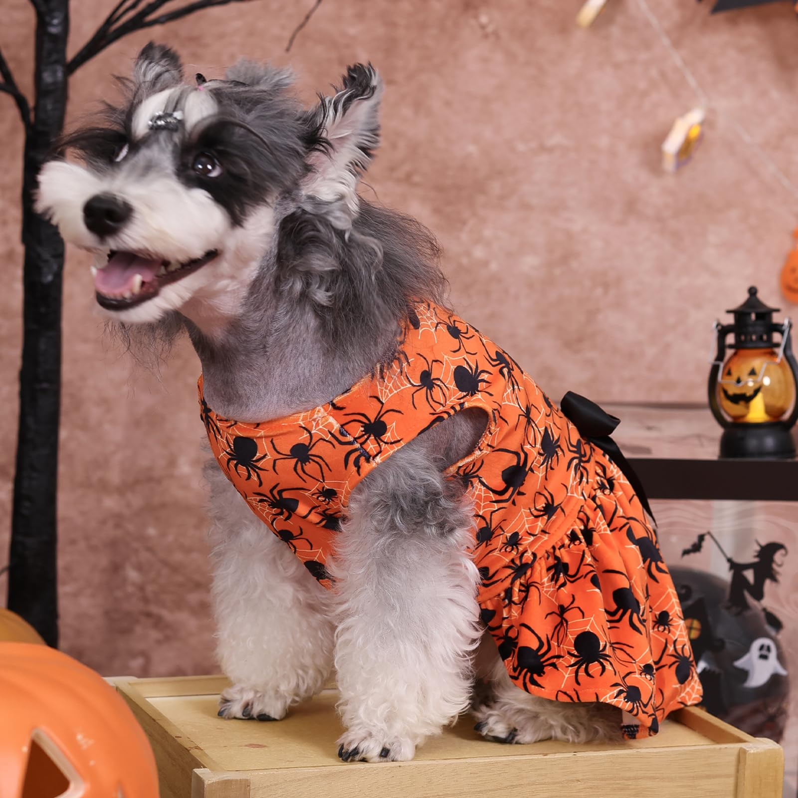 Cutebone Halloween Dog Dresses Velvet Holiday Small Dogs Clothes Onesie Pet Apparel Girl Puppy Skirt With Bow Hair Rope Cva46Xs