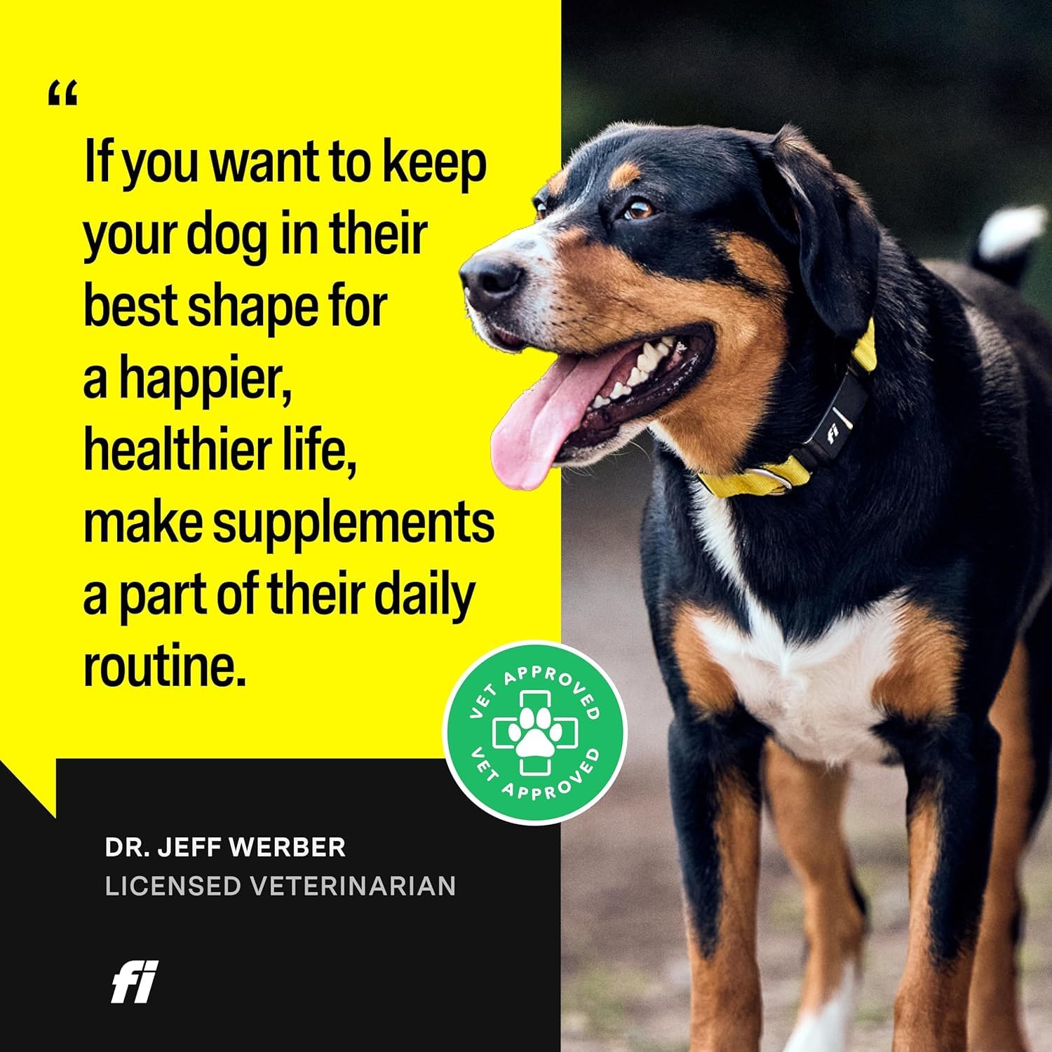 Fi 8-in-1 Dog Supplement Powder for Bone, Skin, Digestion & Immunity - 90 Scoops, Vet-Formulated for All Life Stages