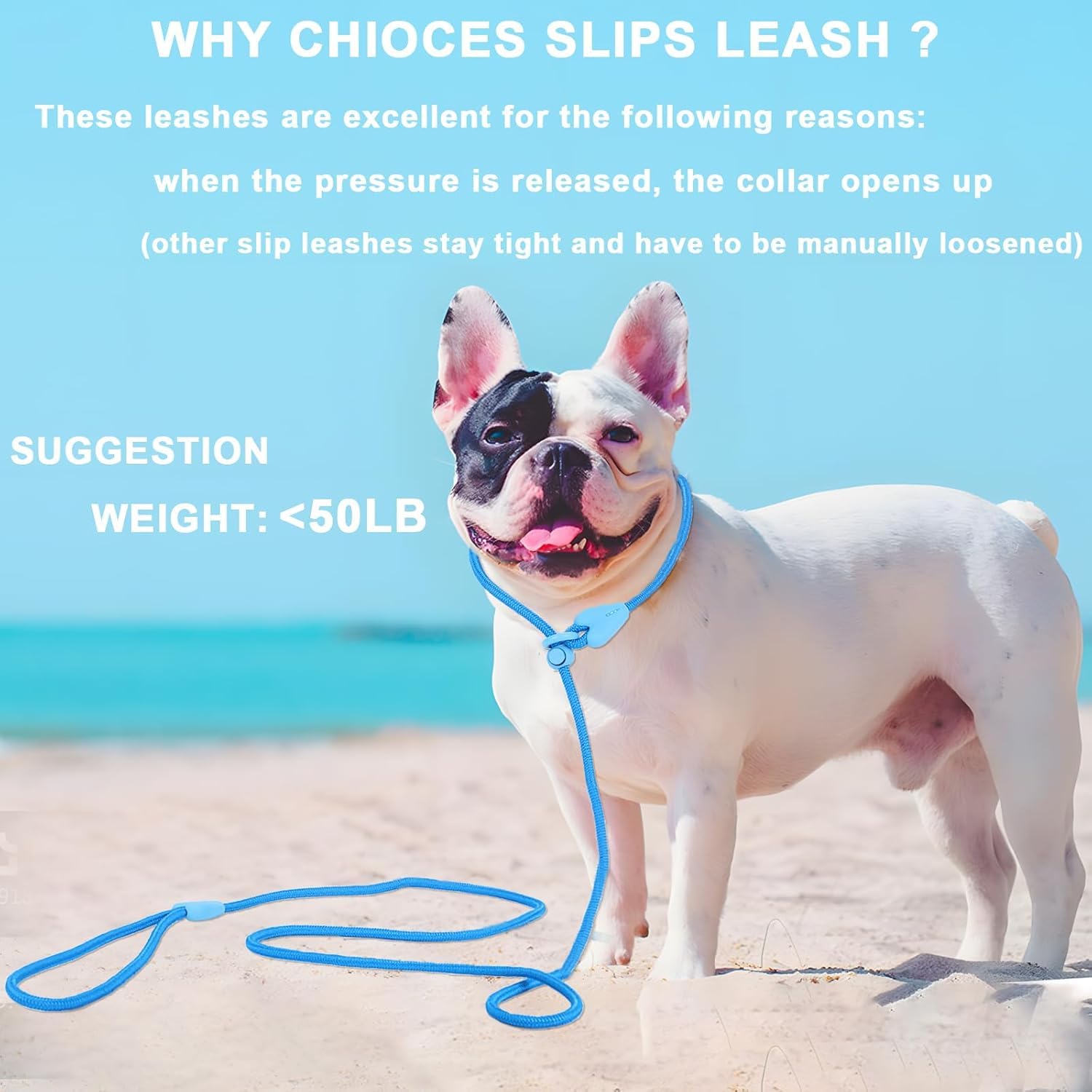 Slip Lead No Pull Dog Leash Slip Leads For Dogs Puppy Leash 5Ft Slip Leash For Dogs Dog Lead With 6 Colors Strong Nylon Dog Trai