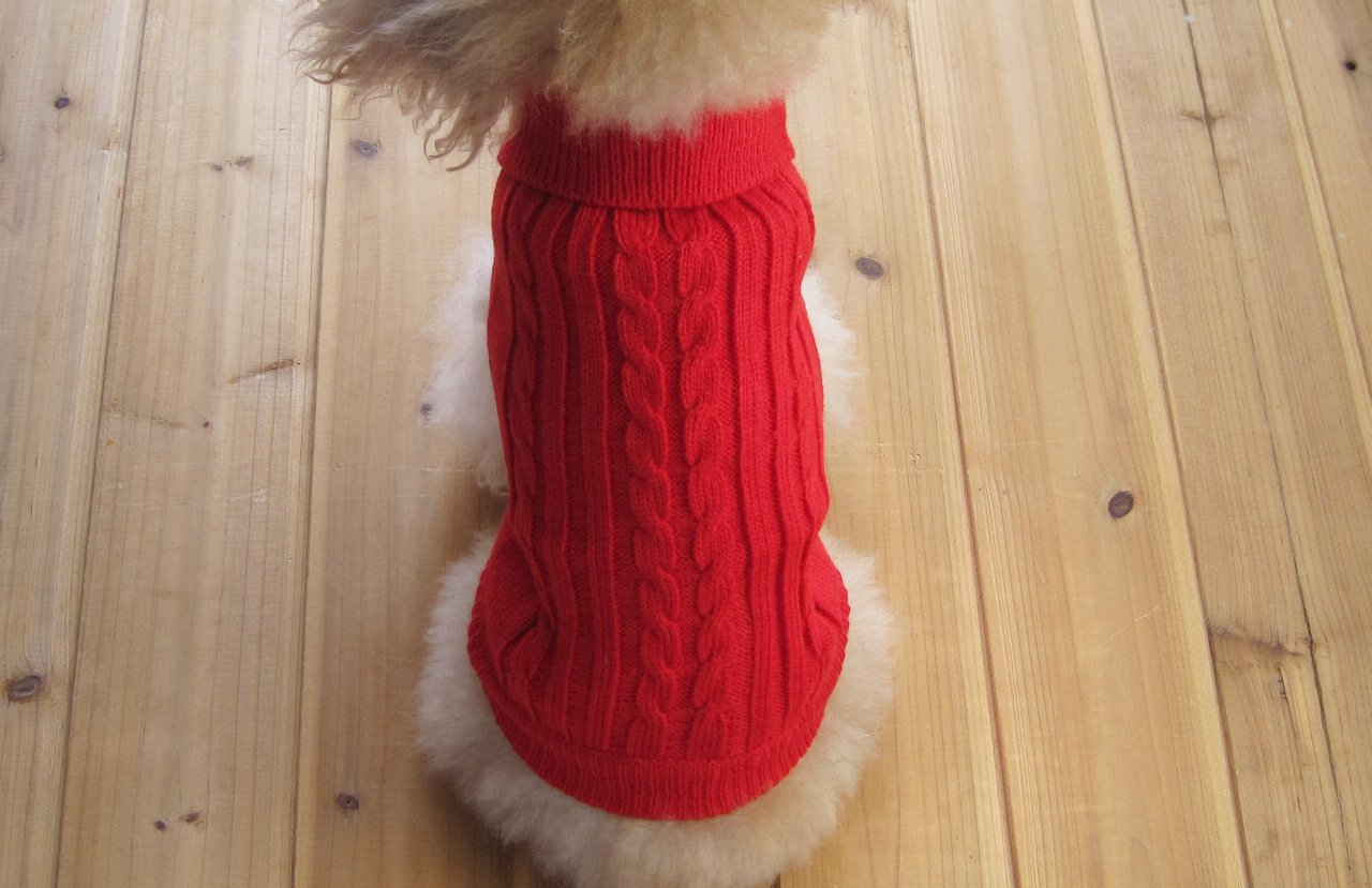FAMI Dog Clothes Dogs Sweater Soft Puppies Clothing Winter Puppy Sweaters Warm Outfit for Dogs Small XS S Cat Apparel(Red,Medium