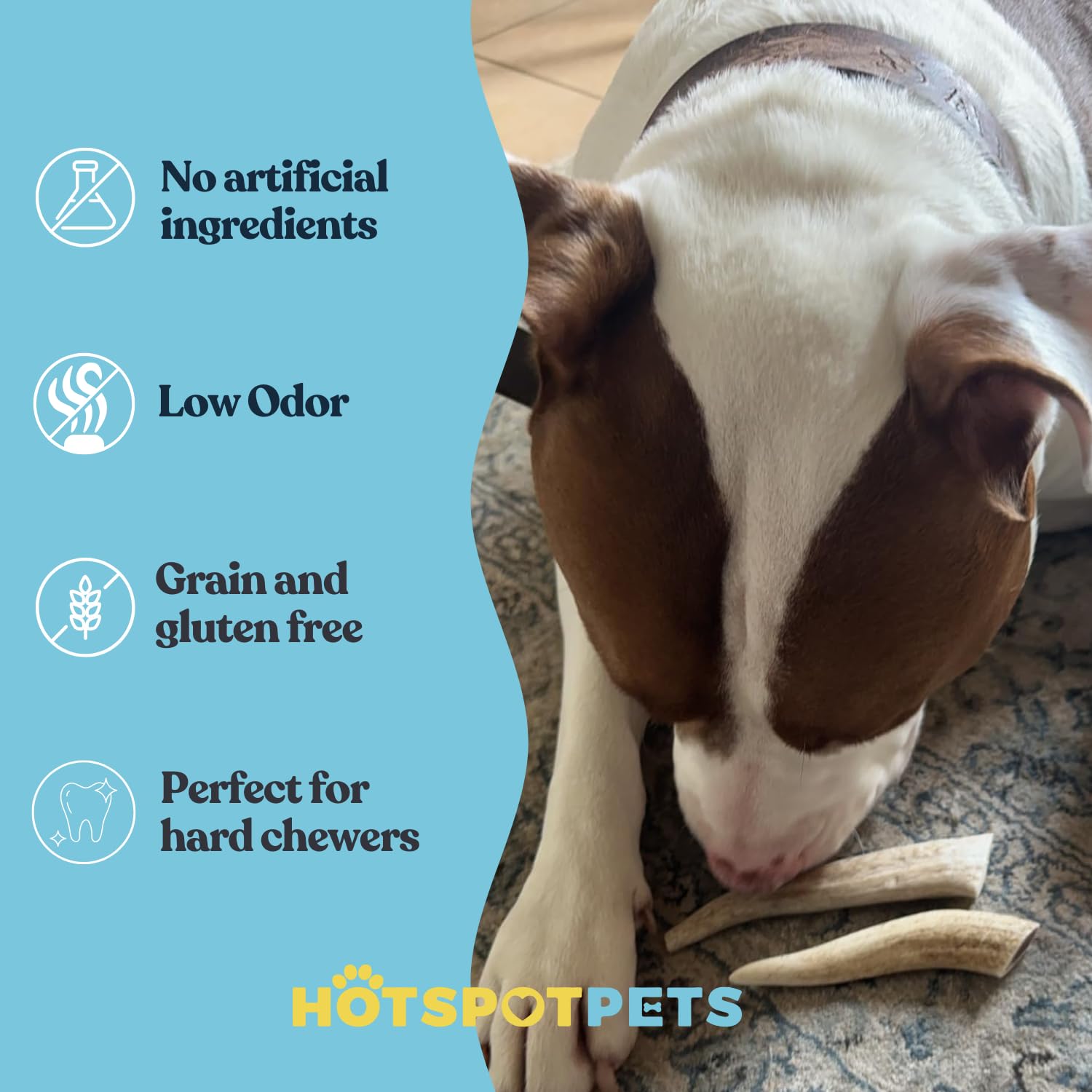 hotspot pets Premium Deer Antlers for Dogs - 7+ Inch Large Antler Dog Chews (2 Pack) Made in USA - Naturally Shed Antler Bone fo