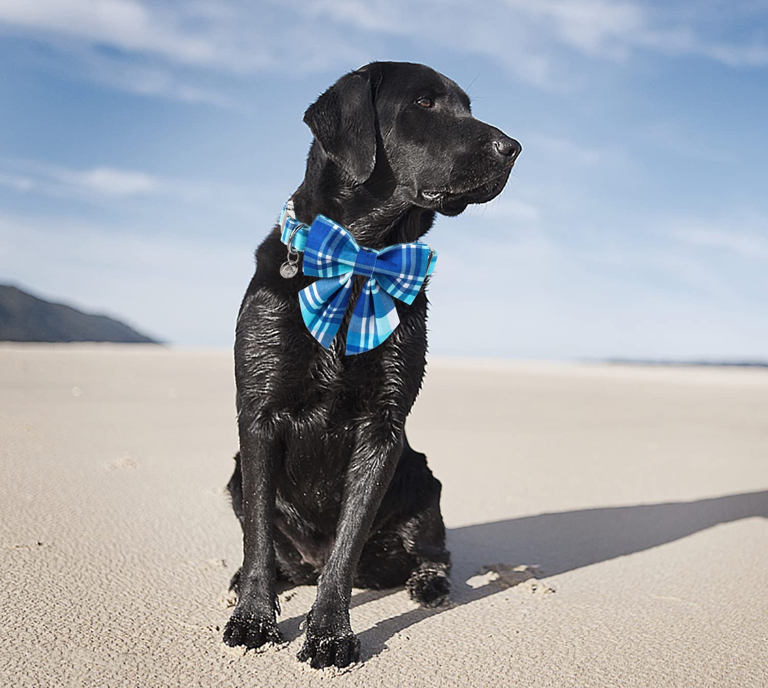 Dogwong Cotton Blue Plaid Dog Collar, Cotton Dog Collar With Bow Cute Boy Dog Collar Puppy Necklace For Female Small Medium Larg