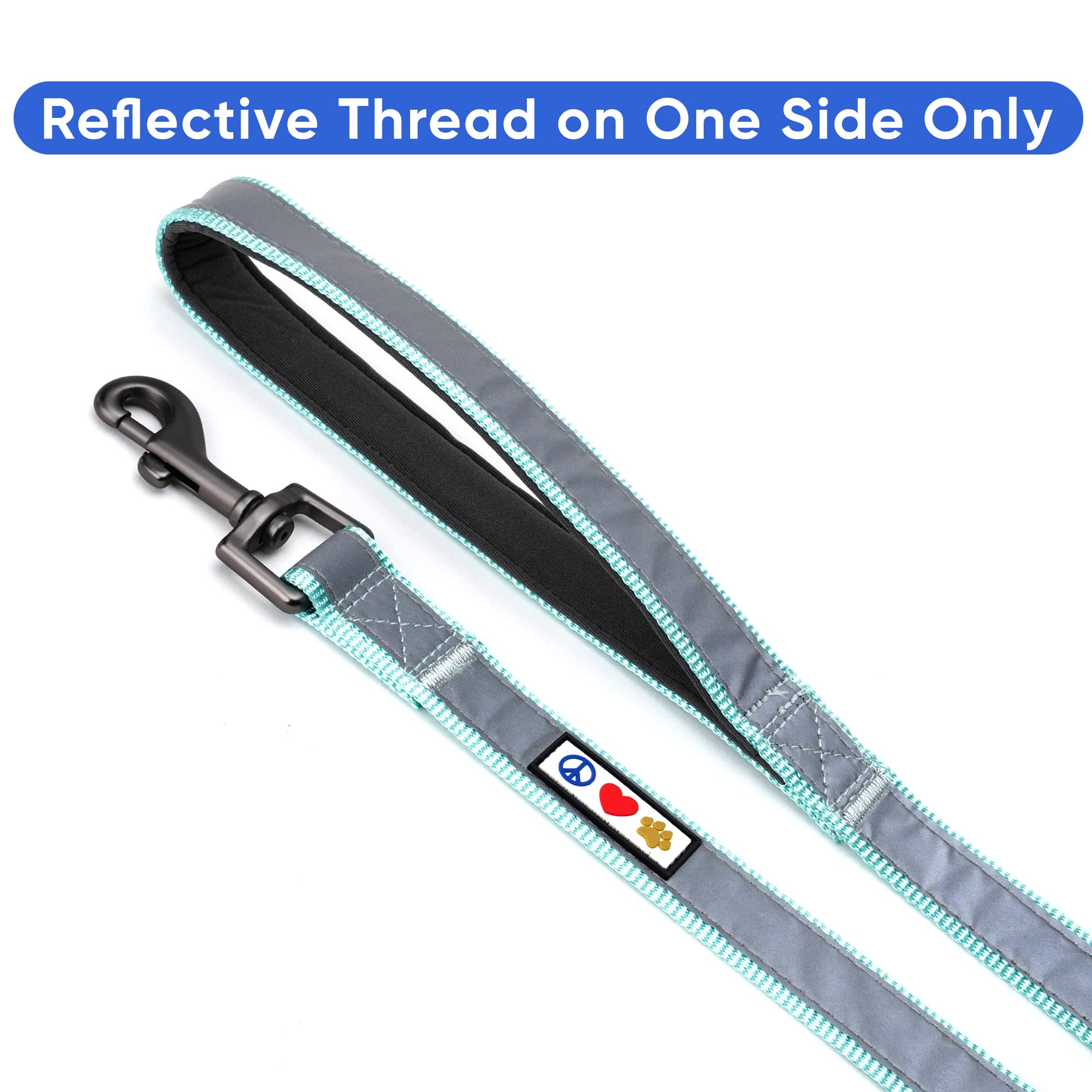 Pawtitas 6 FT Padded Dog Leash with Comfortable Neoprene Padding Handle - Teal Lead | Reflective Dog Leash with Highly Reflectiv