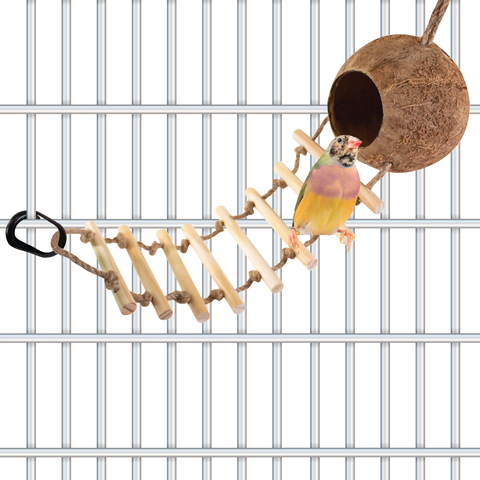 Bird Life Hanging Coconut Hide With Ladder - Perch Toy For Birds - Parrots, Parakeet, Conures, Cockatiel