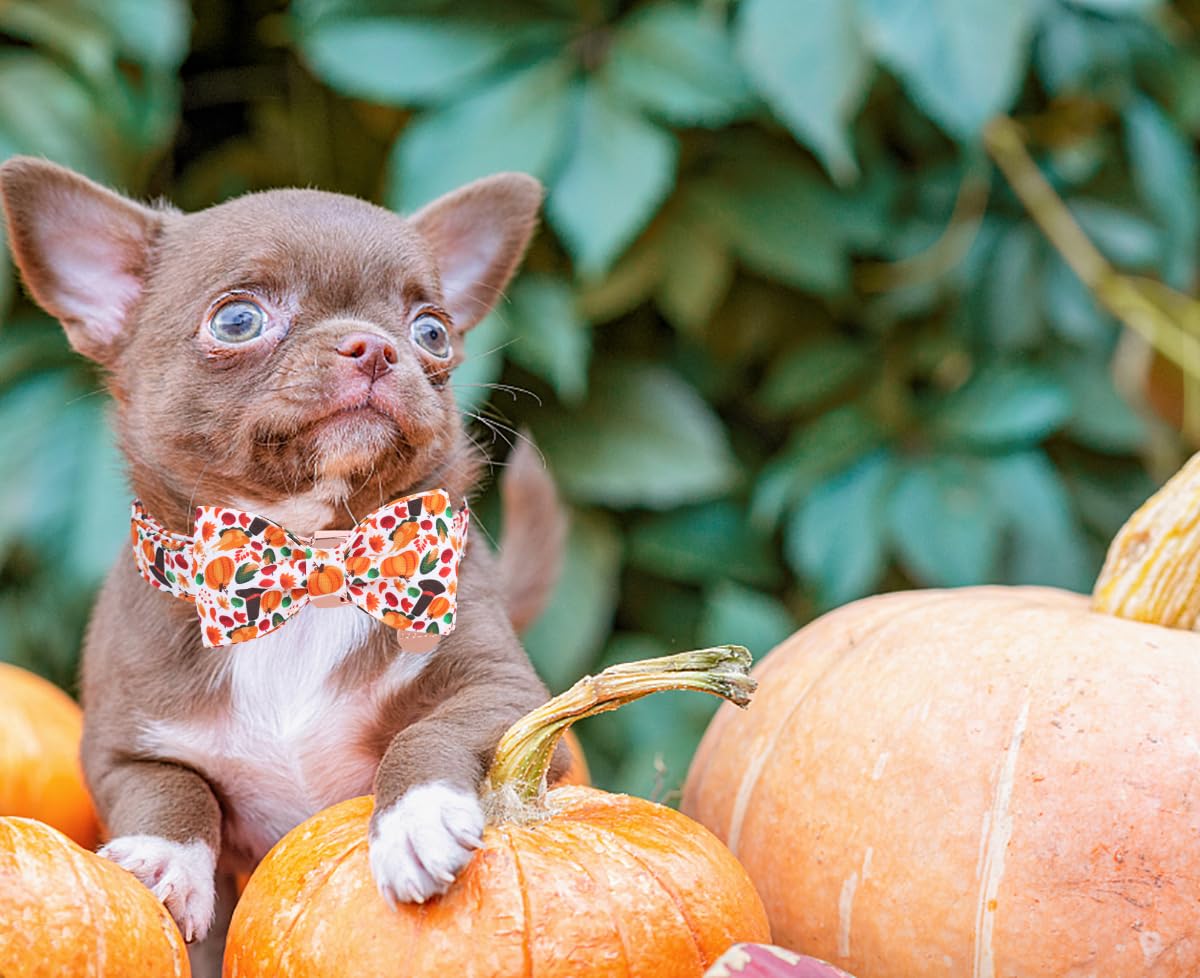 Dogwong Fall Dog Collar With Bowtie - Fall Dog Collar Soft Cotton Autumn Dogs Necklace - Halloween Puppy Necklace For Small Medi