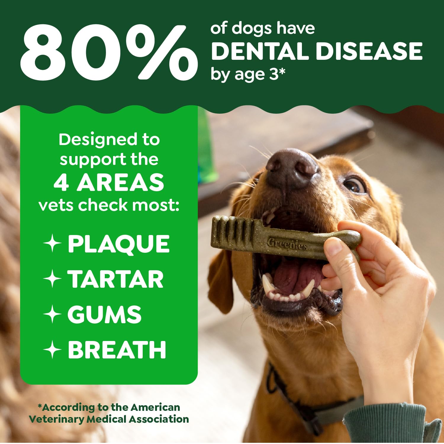 Greenies Puppy Petite Size Dental Dog Treats, 6 oz. Pack (10 Treats)