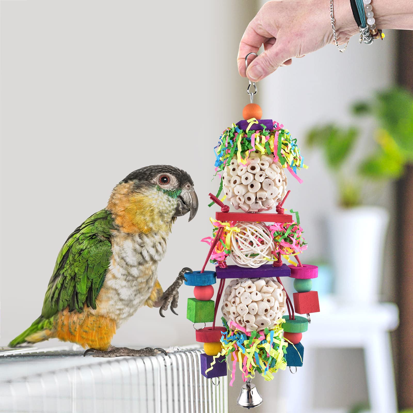Bissap Conure Toys, Bird Parrot Foraging Shredder Hanging Toys Sola Balls Sepak Takraw with Bell for Small Parrots Parakeets Con