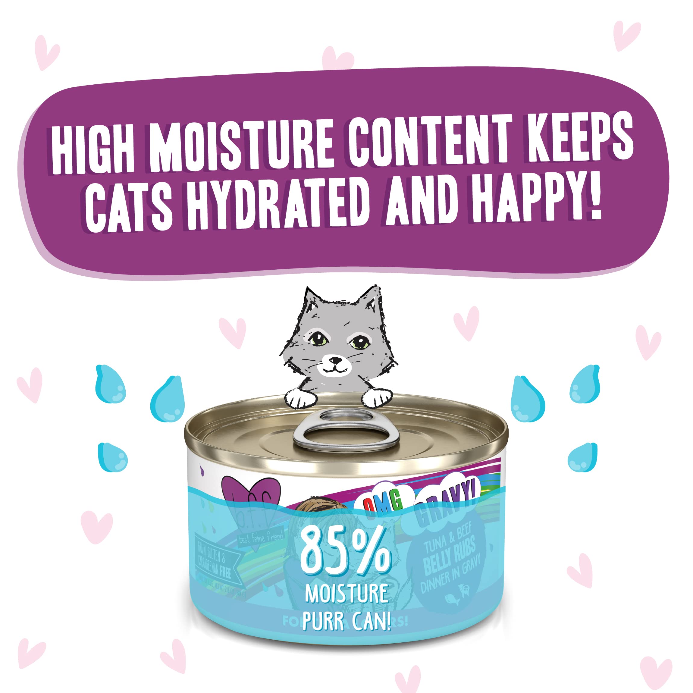 B.F.F. OMG - Best Feline Friend Oh My Gravy!, Tuna & Beef Belly Rubs with Tuna & Beef, 2.8oz Can (Pack of 12)